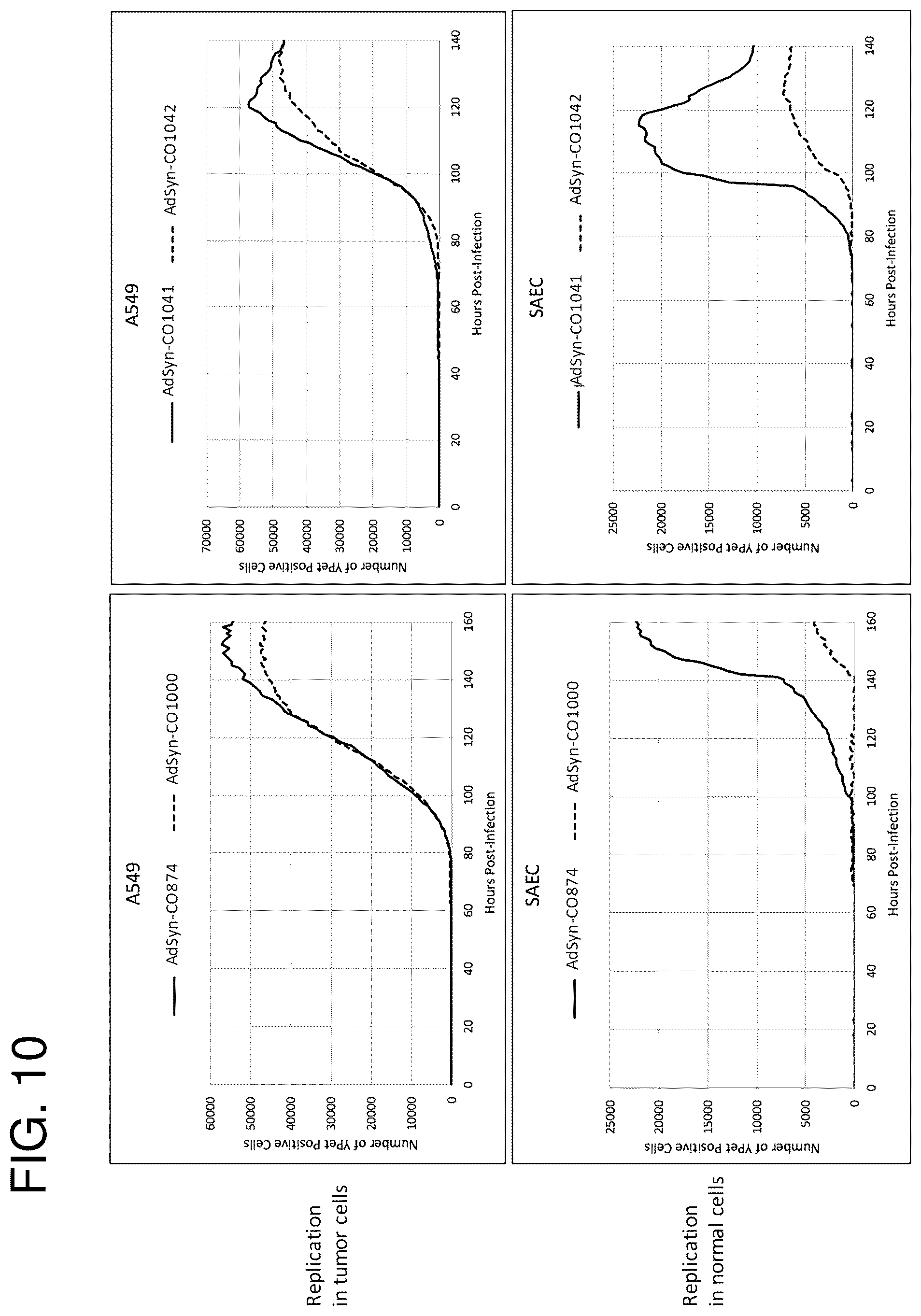 Patent US12365878 Figure 12 – Oncolytic adenovirus with enhanced replication properties comprising modifications in E1A, E3, and E4