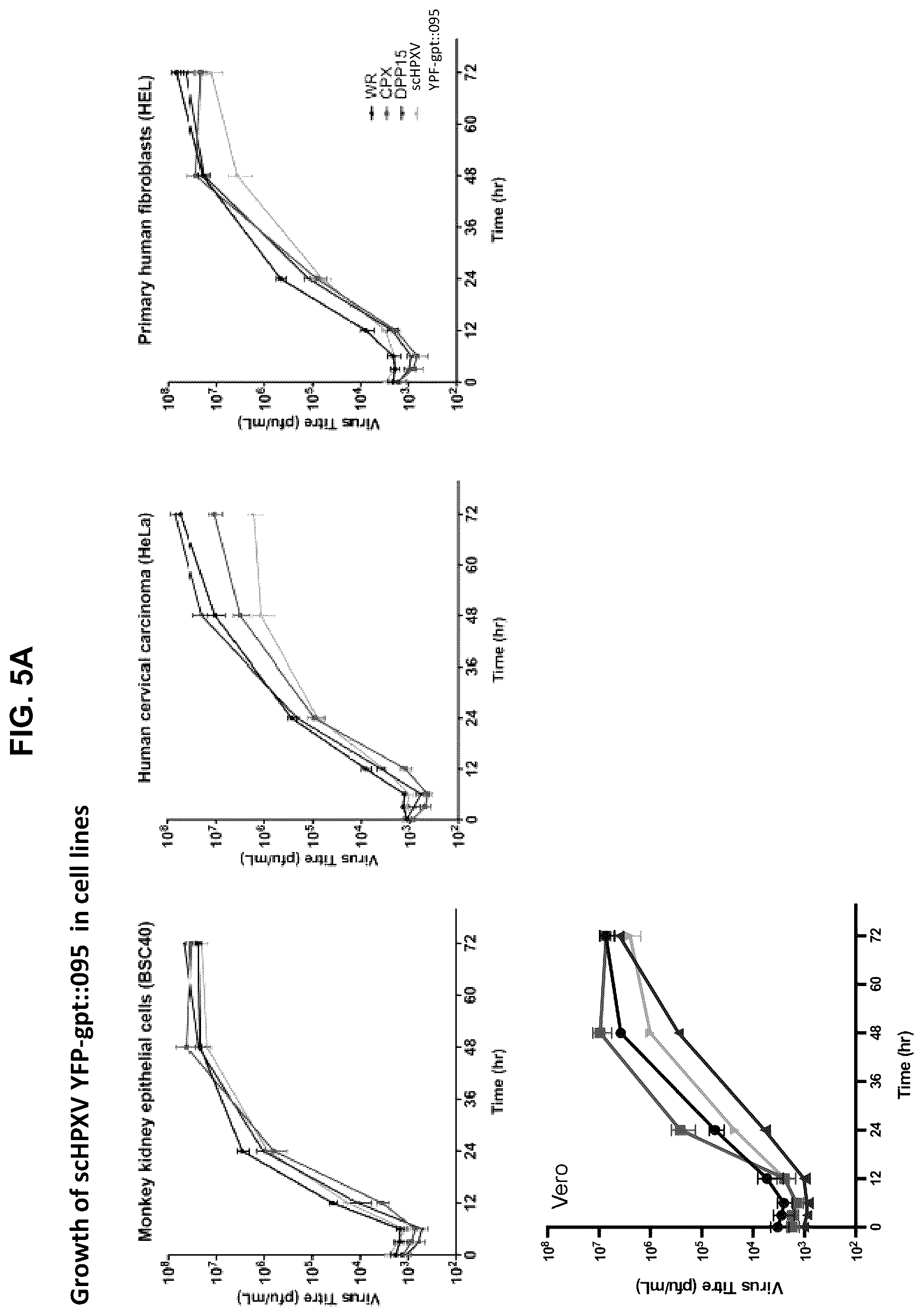 Patent US12365879 Figure 11 – Synthetic chimeric poxviruses