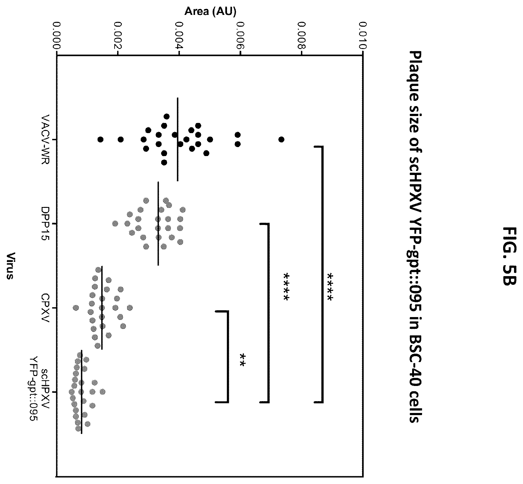 Patent US12365879 Figure 12 – Synthetic chimeric poxviruses