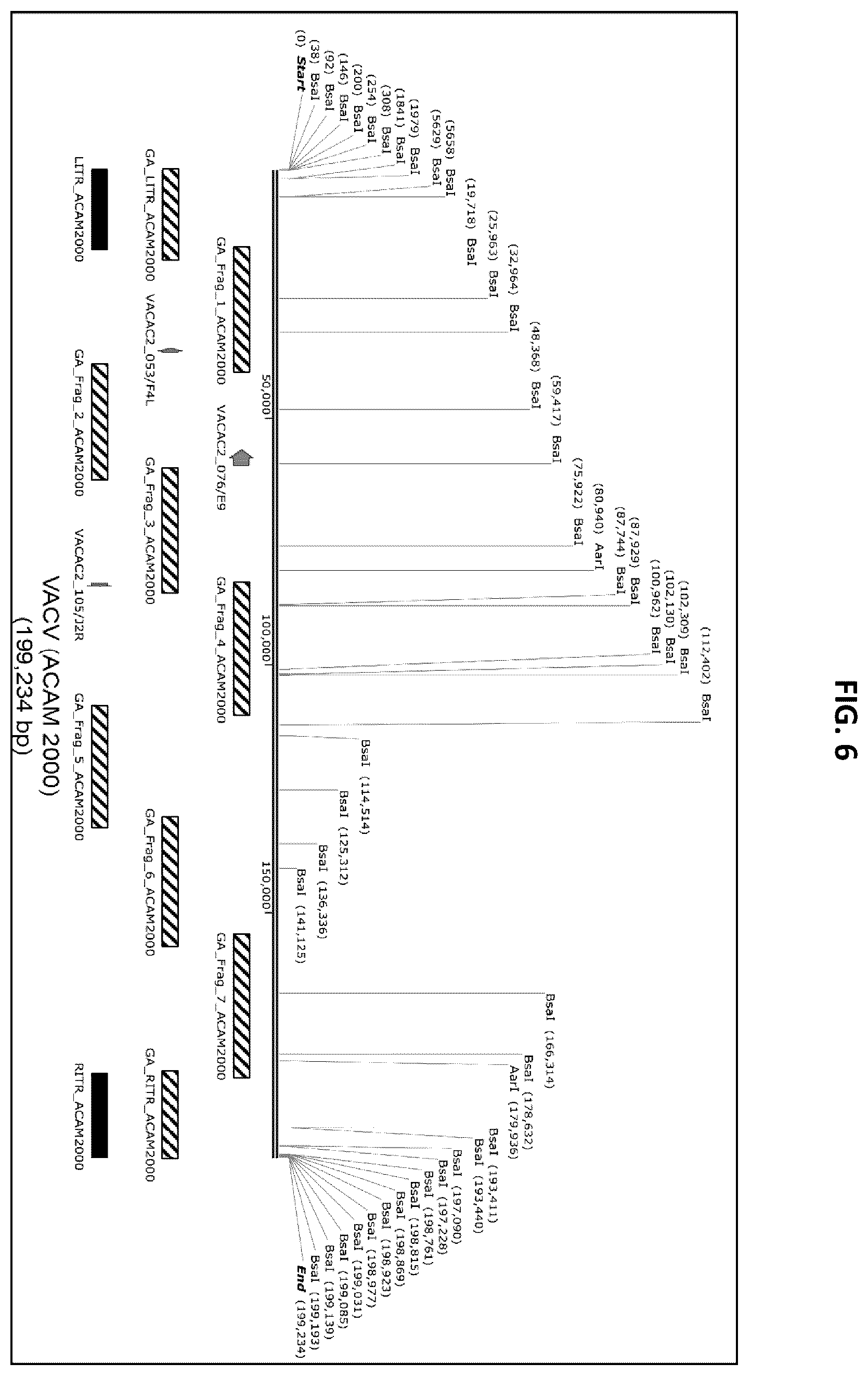 Patent US12365879 Figure 14 – Synthetic chimeric poxviruses