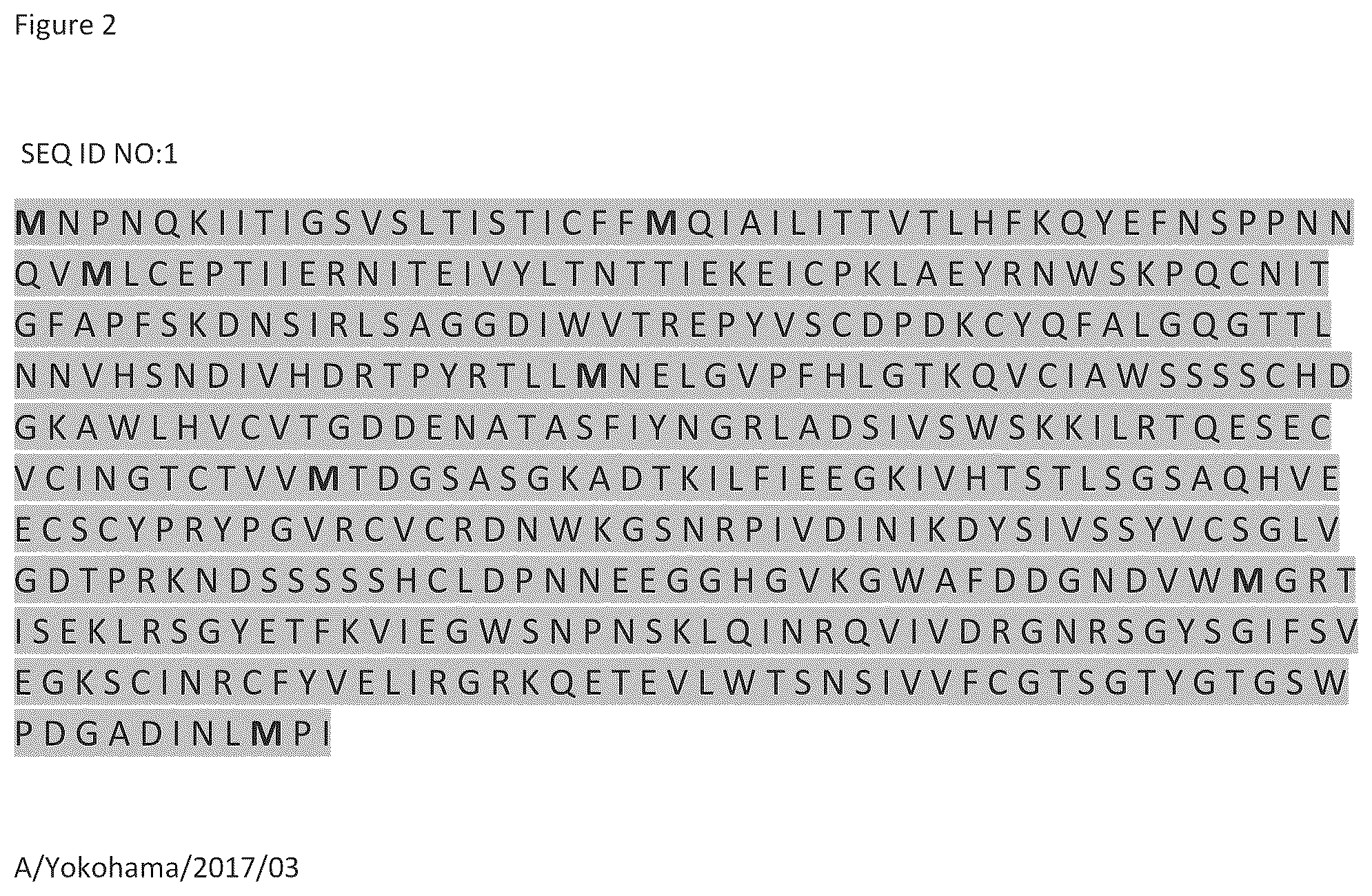 Patent US12365880 Figure 2 – Recombinant influenza viruses with stabilized NA
