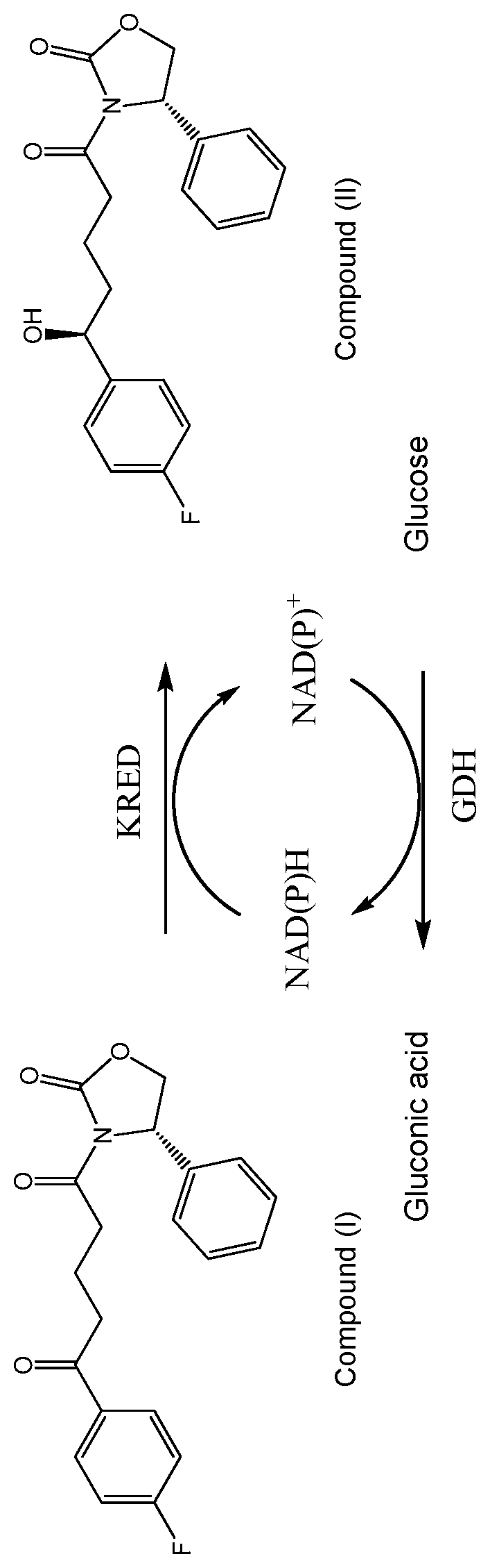 Patent US12365881 Figure 1 – Ketoreductase polypeptides