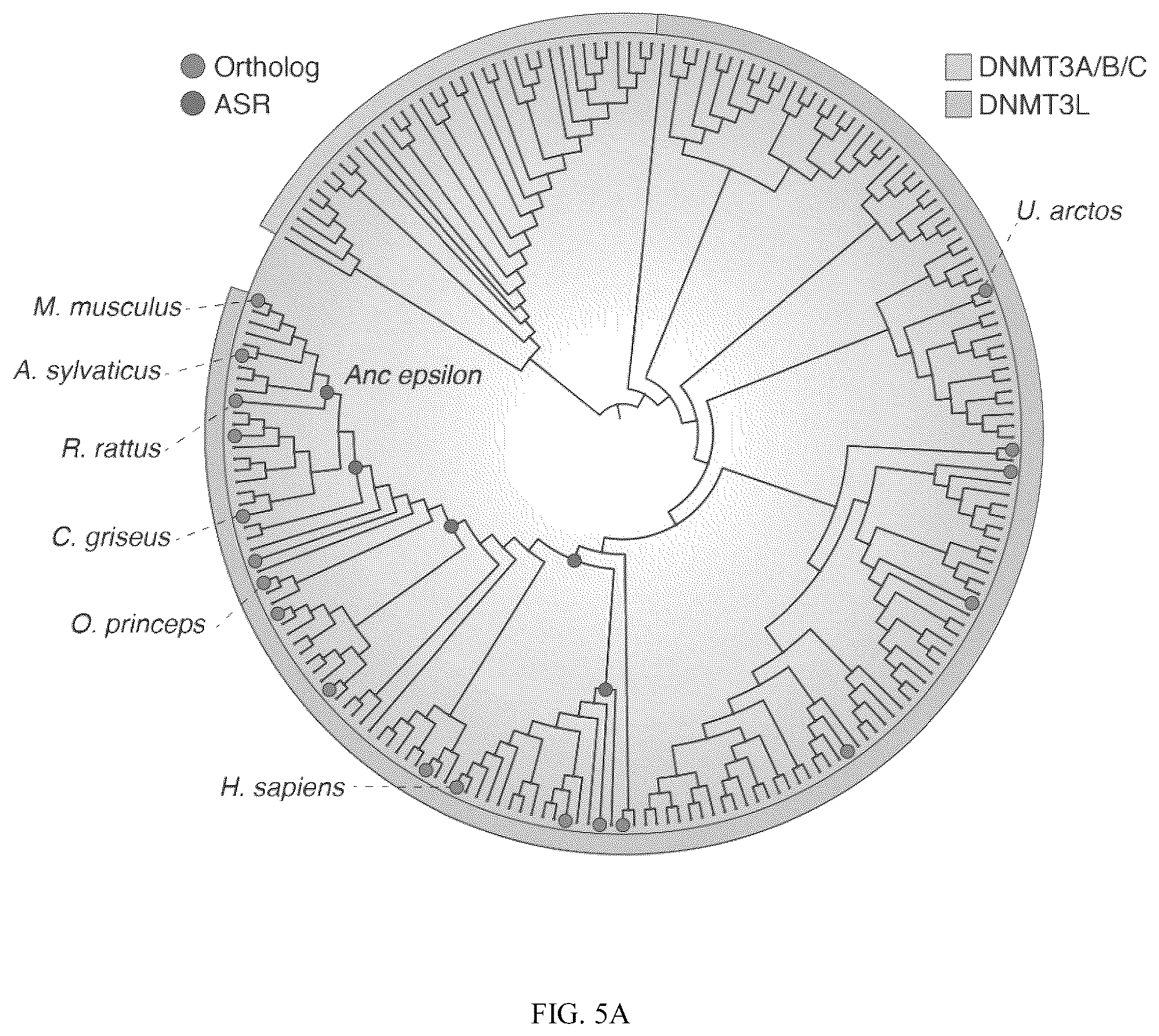 Patent US12365884 Figure 6 – Compositions and methods for making epigenetic modifications