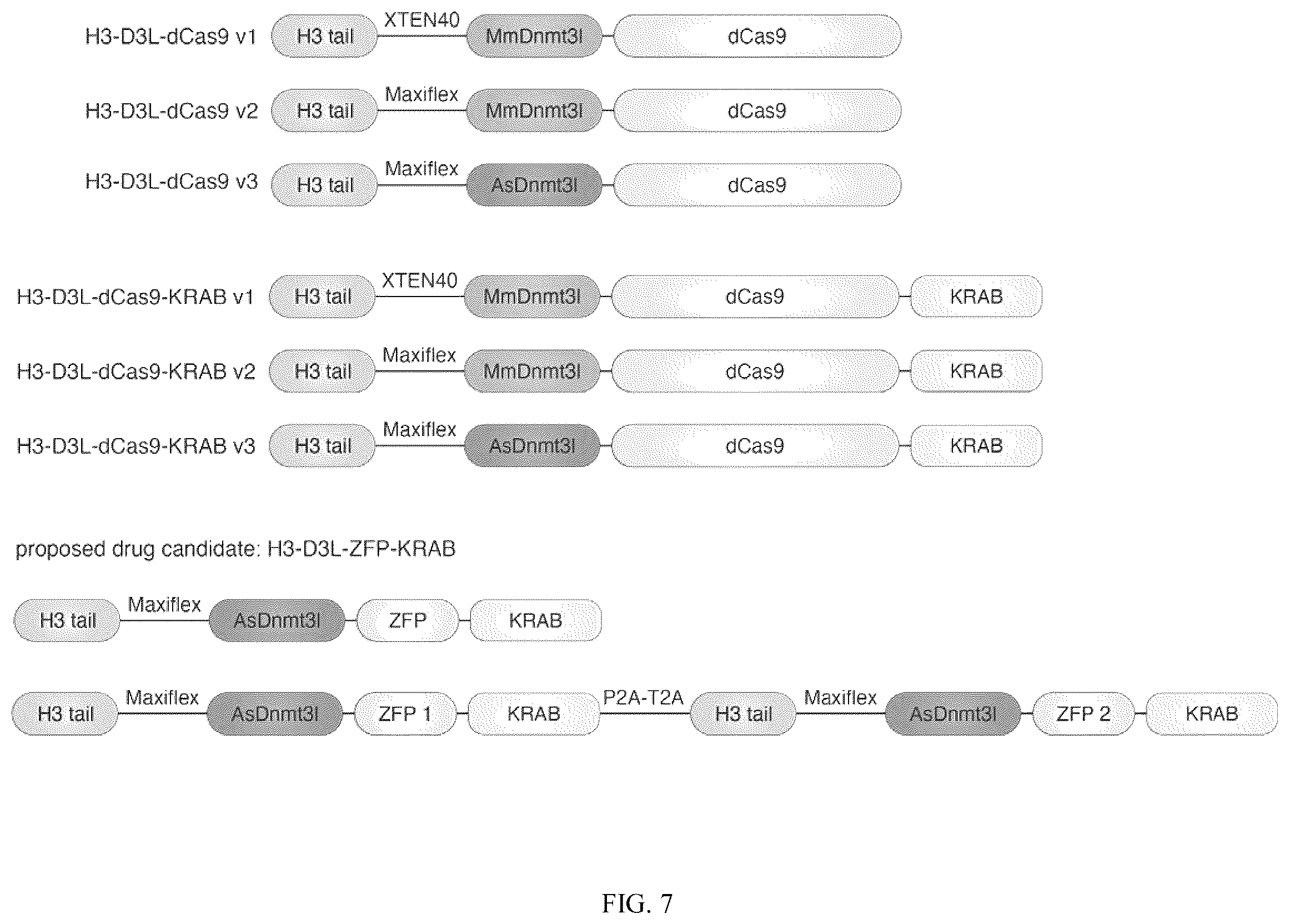 Patent US12365884 Figure 9 – Compositions and methods for making epigenetic modifications