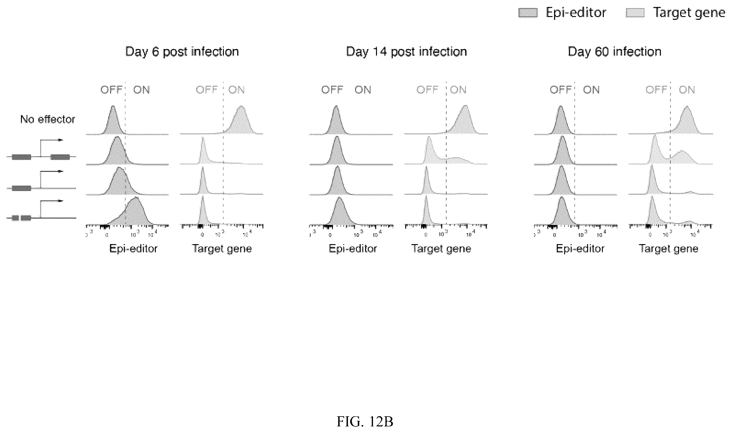 Patent US12365884 Figure 15 – Compositions and methods for making epigenetic modifications