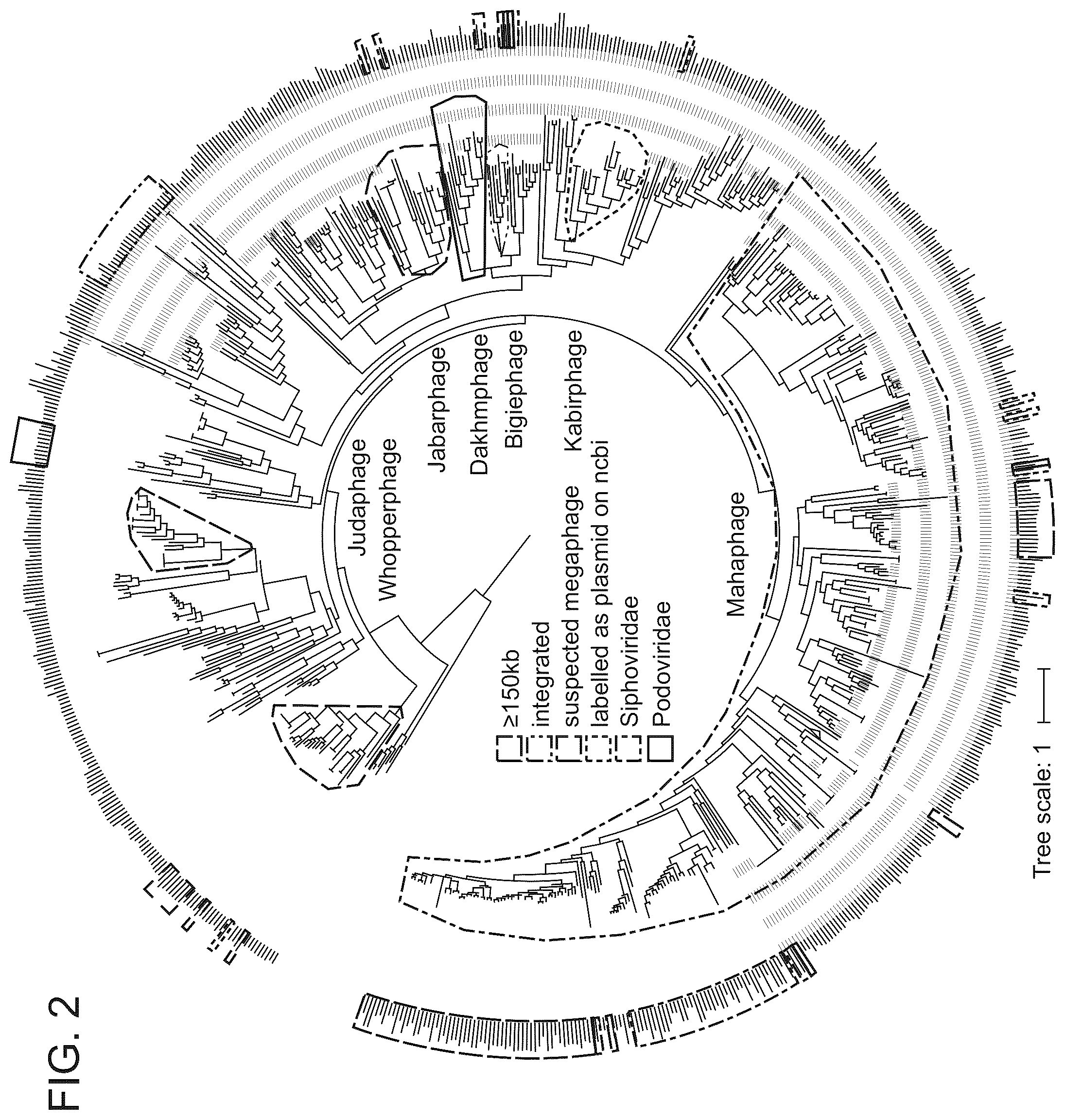 Patent US12365887 Figure 3 – CRISPR-Cas effector polypeptides and methods of use thereof