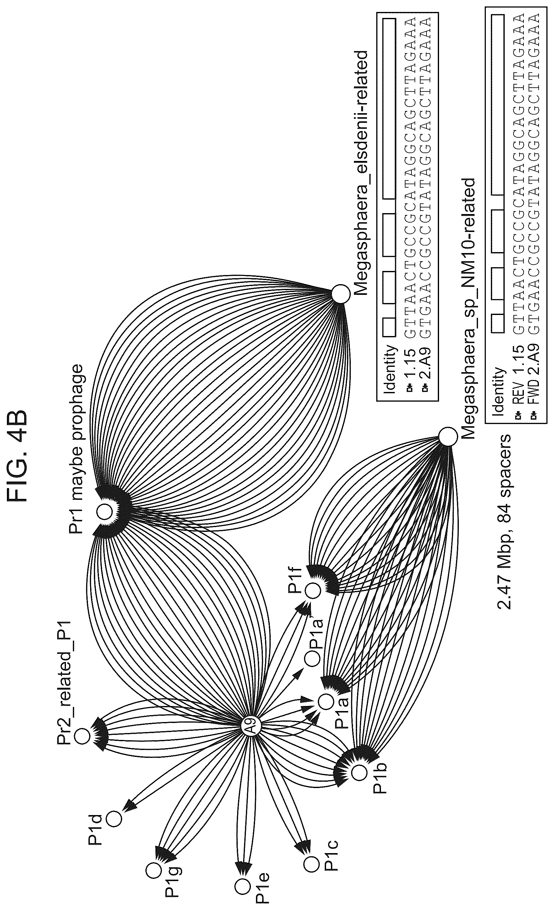 Patent US12365887 Figure 6 – CRISPR-Cas effector polypeptides and methods of use thereof