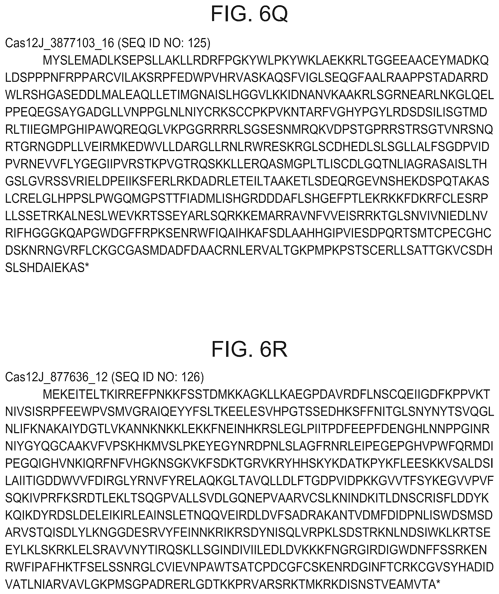 Patent US12365887 Figure 19 – CRISPR-Cas effector polypeptides and methods of use thereof