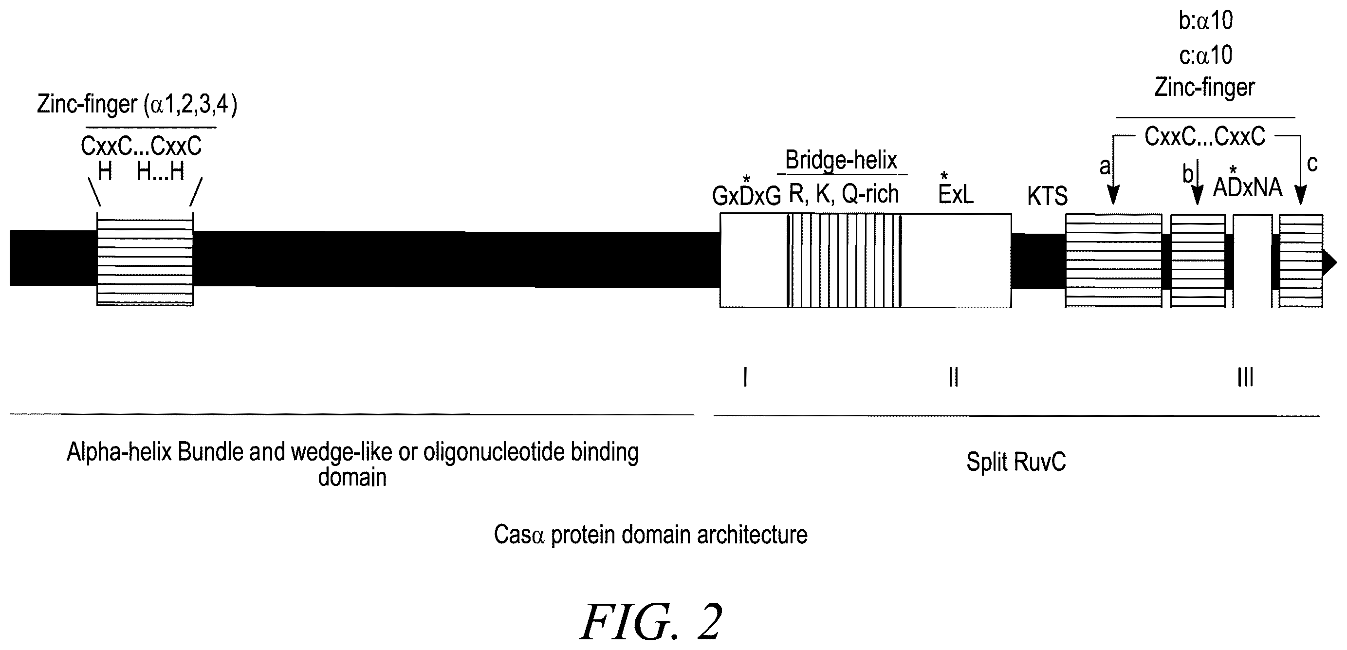 Patent US12365888 Figure 3 – CRISPR-Cas systems for genome editing