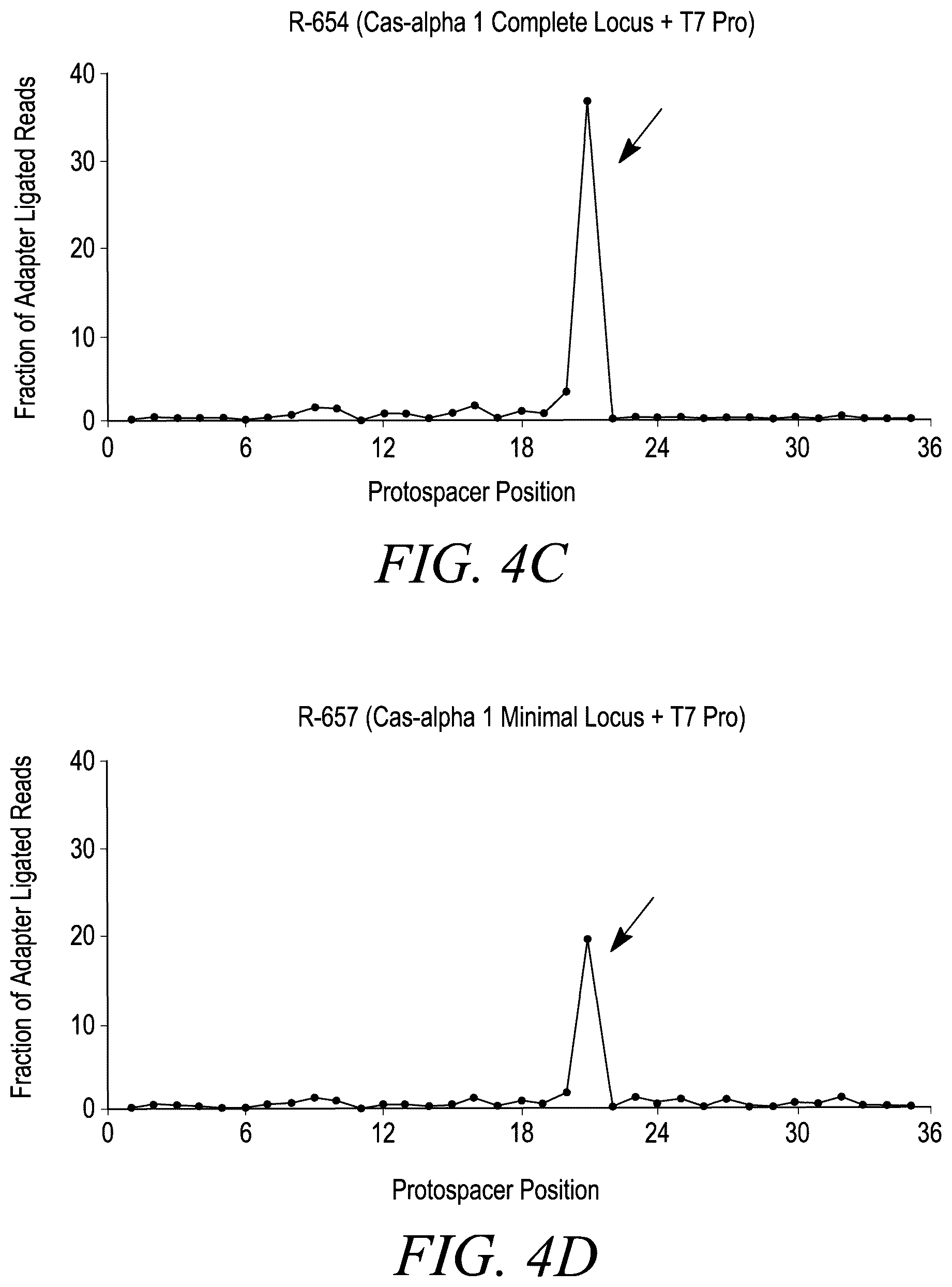 Patent US12365888 Figure 6 – CRISPR-Cas systems for genome editing