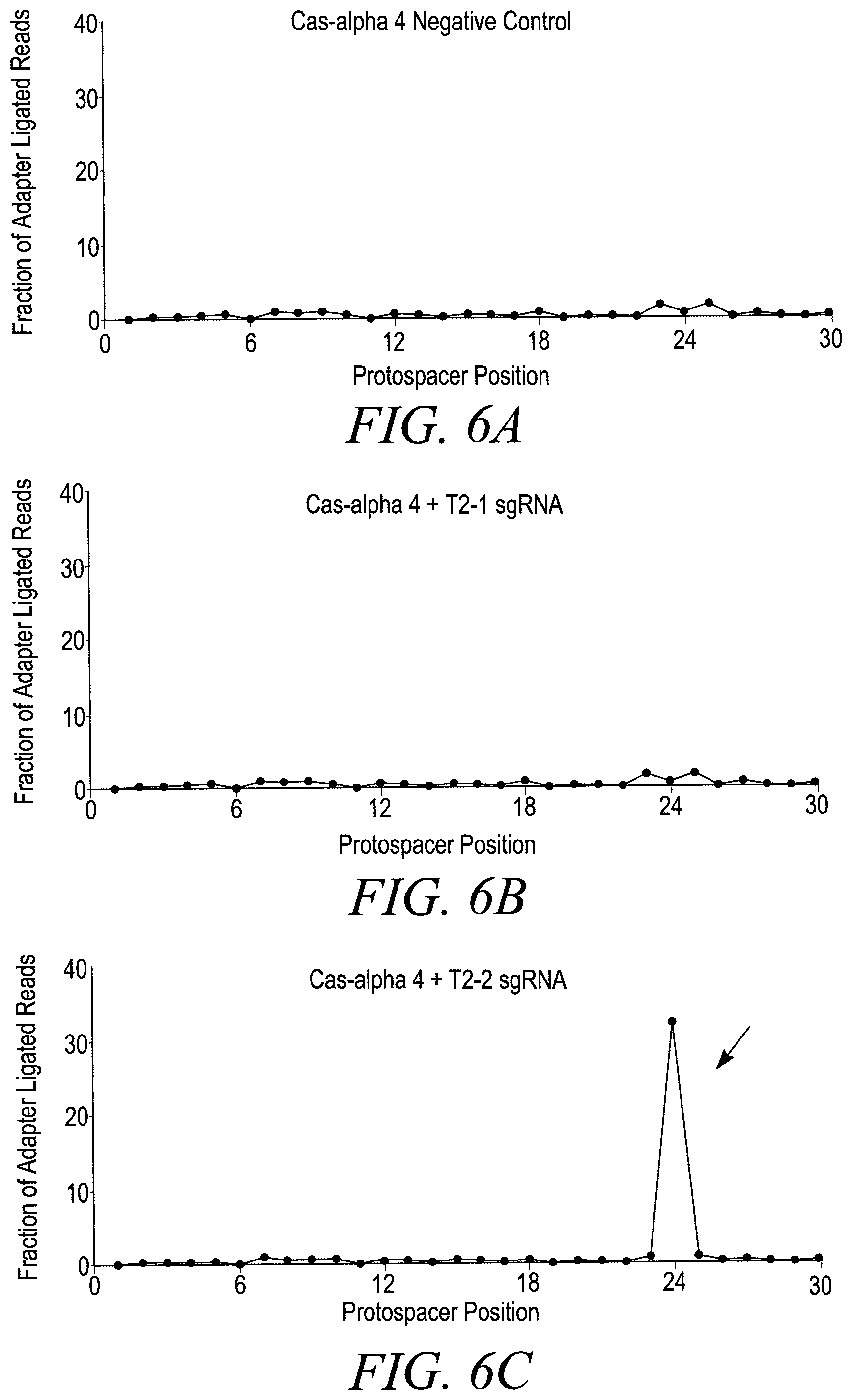 Patent US12365888 Figure 9 – CRISPR-Cas systems for genome editing