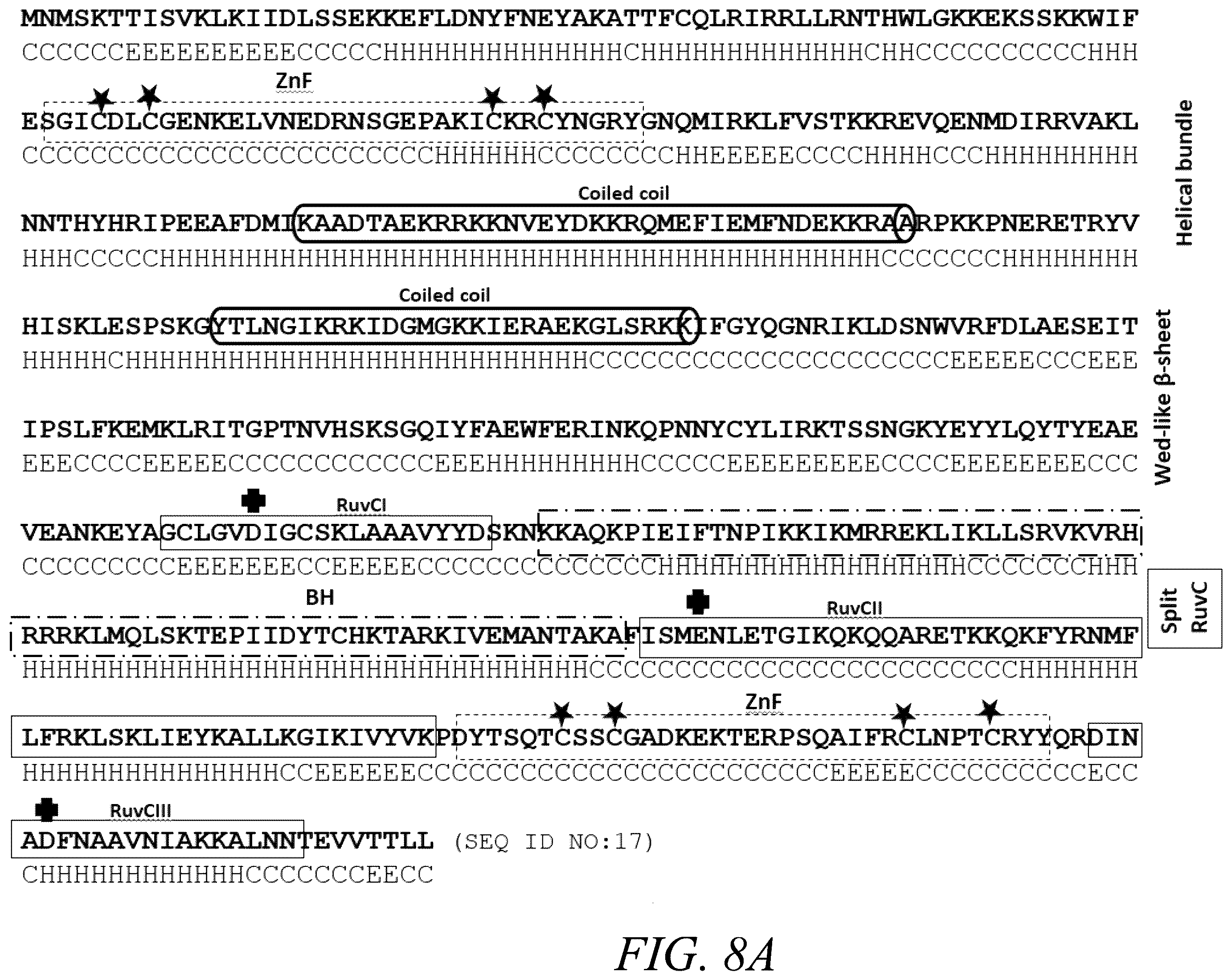 Patent US12365888 Figure 18 – CRISPR-Cas systems for genome editing