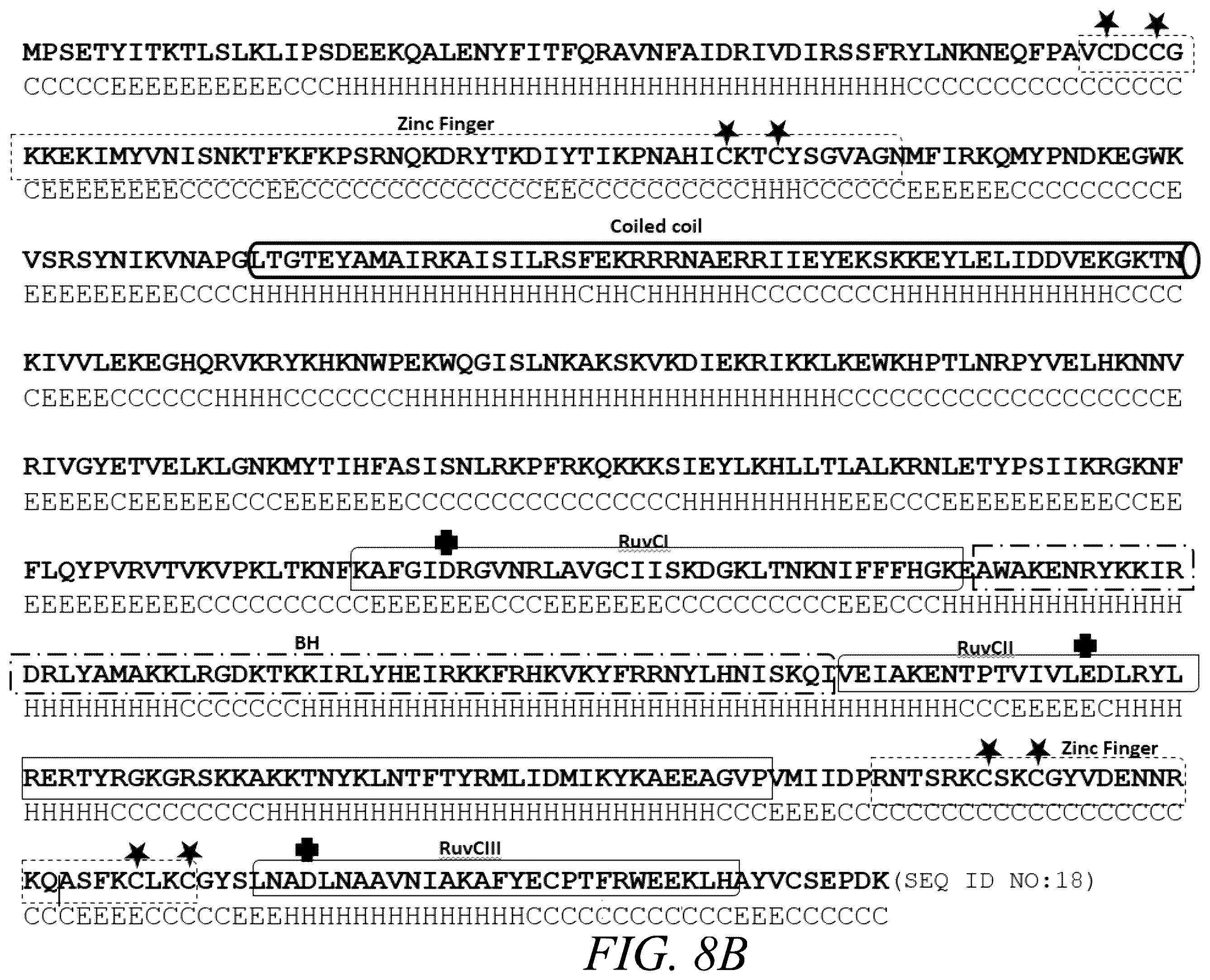 Patent US12365888 Figure 19 – CRISPR-Cas systems for genome editing