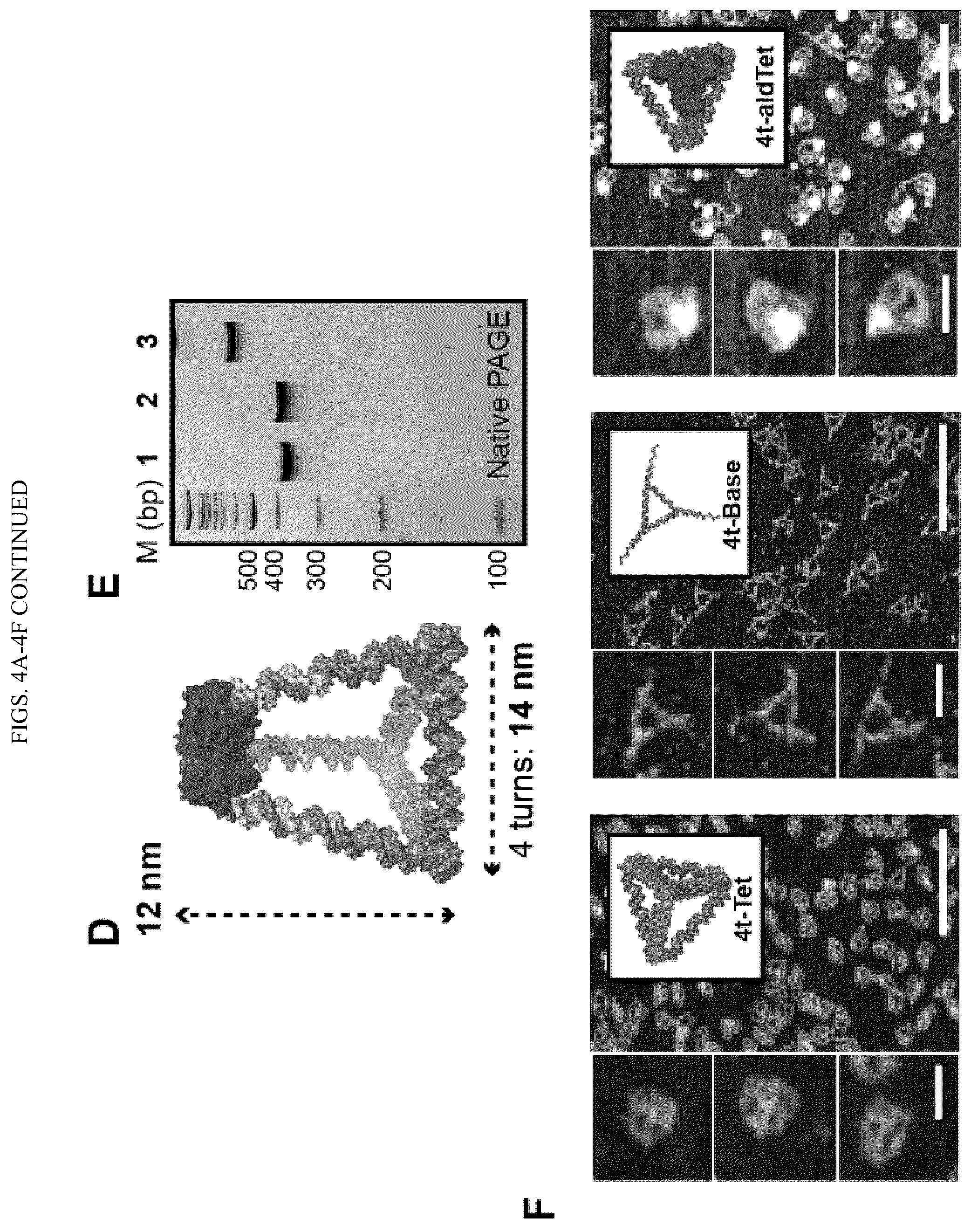 Patent US12365889 Figure 7 – Tunable nanoscale cages from self-assembling DNA and protein building blocks