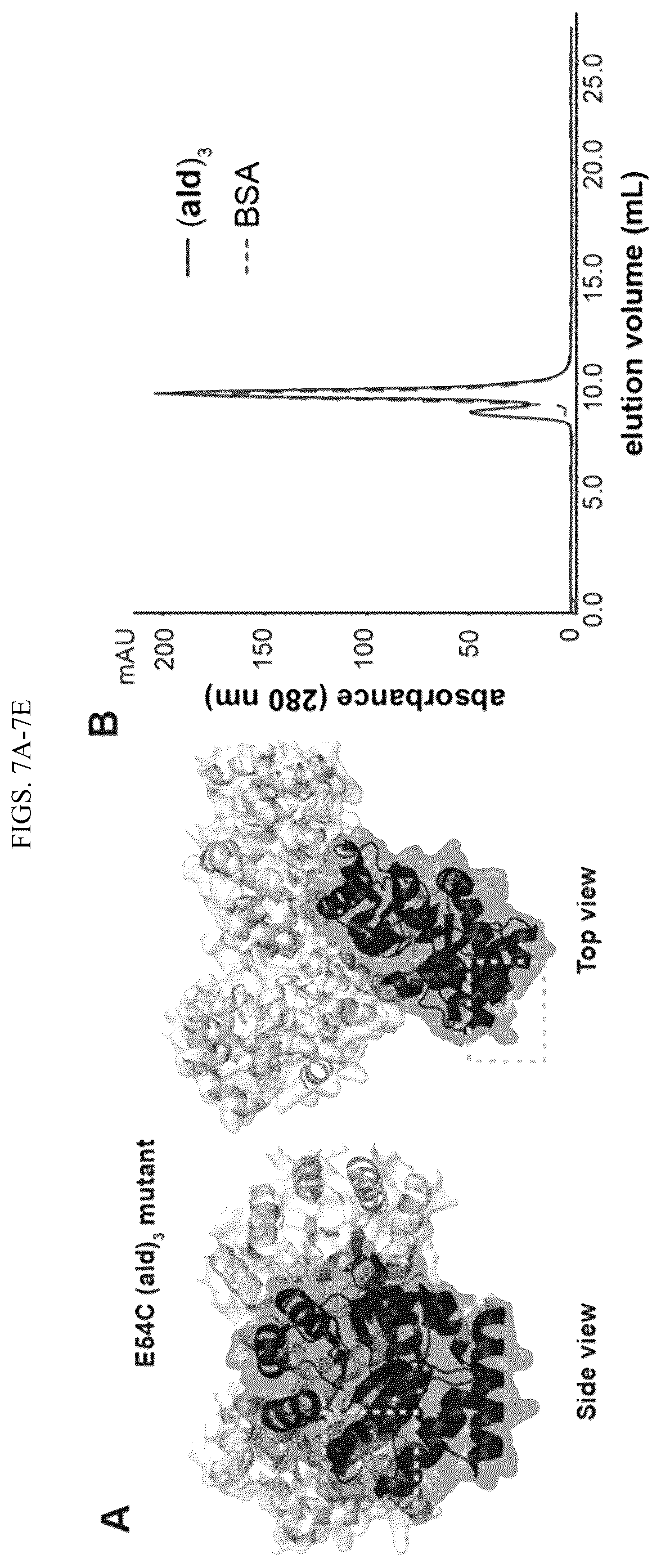 Patent US12365889 Figure 11 – Tunable nanoscale cages from self-assembling DNA and protein building blocks