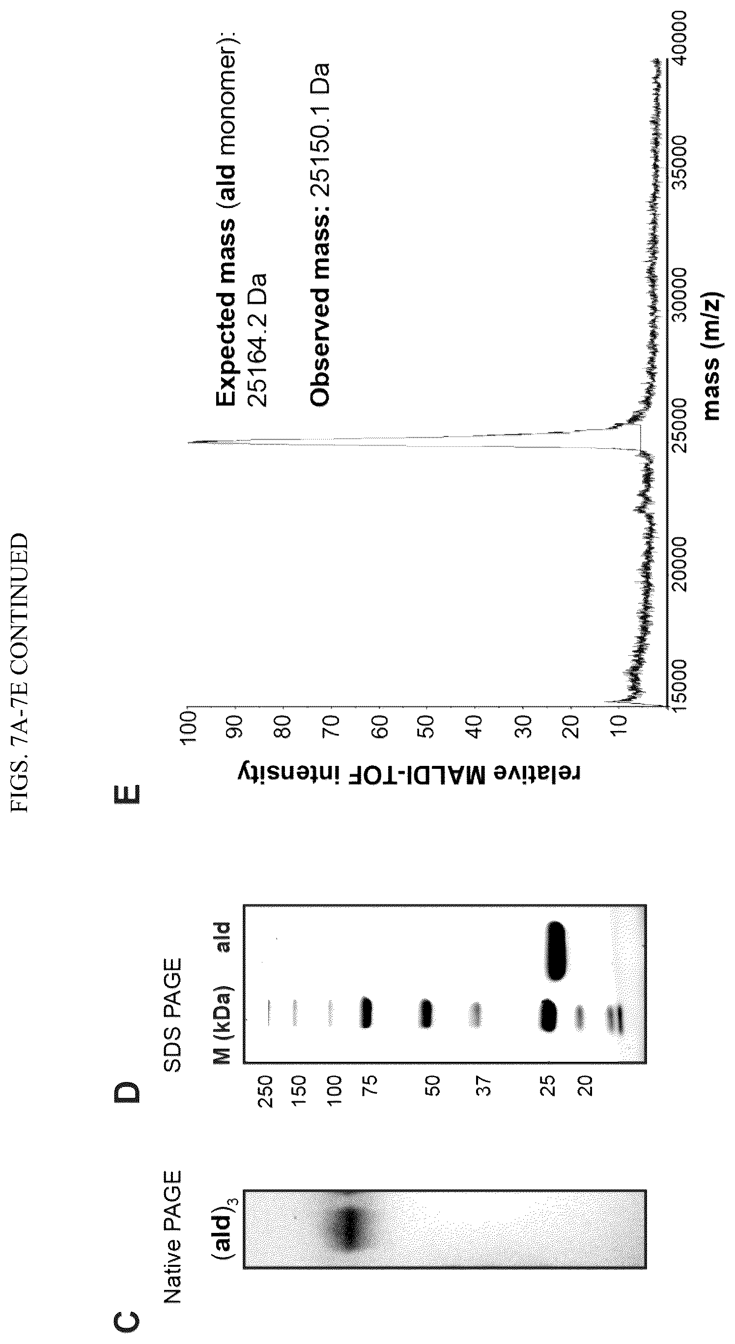 Patent US12365889 Figure 12 – Tunable nanoscale cages from self-assembling DNA and protein building blocks