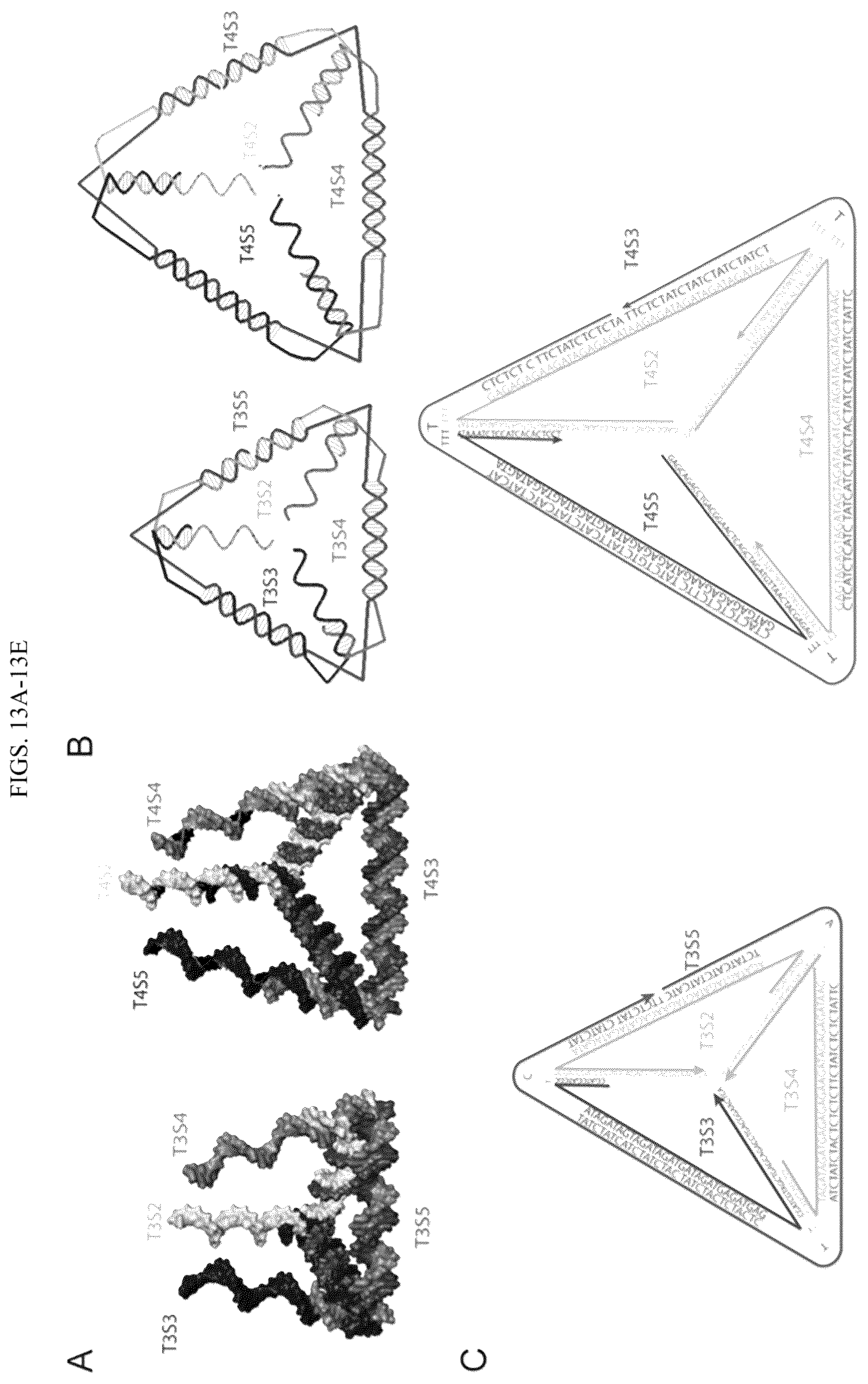 Patent US12365889 Figure 18 – Tunable nanoscale cages from self-assembling DNA and protein building blocks