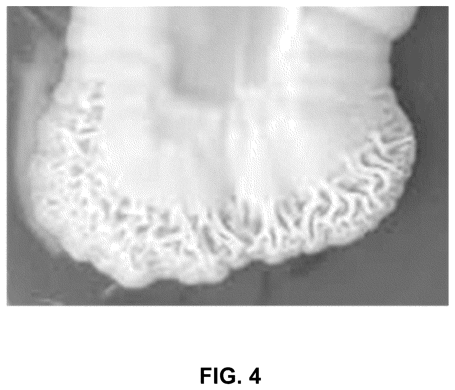 Patent US12365890 Figure 4 – Optimization of yeast host cells for the production of heterologous proteins