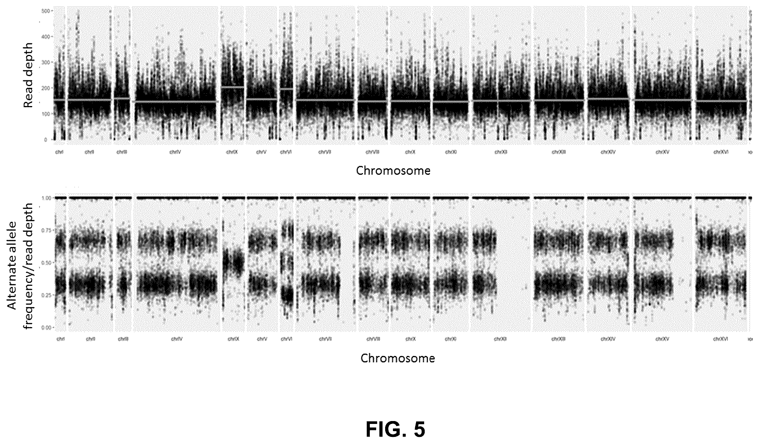 Patent US12365890 Figure 5 – Optimization of yeast host cells for the production of heterologous proteins
