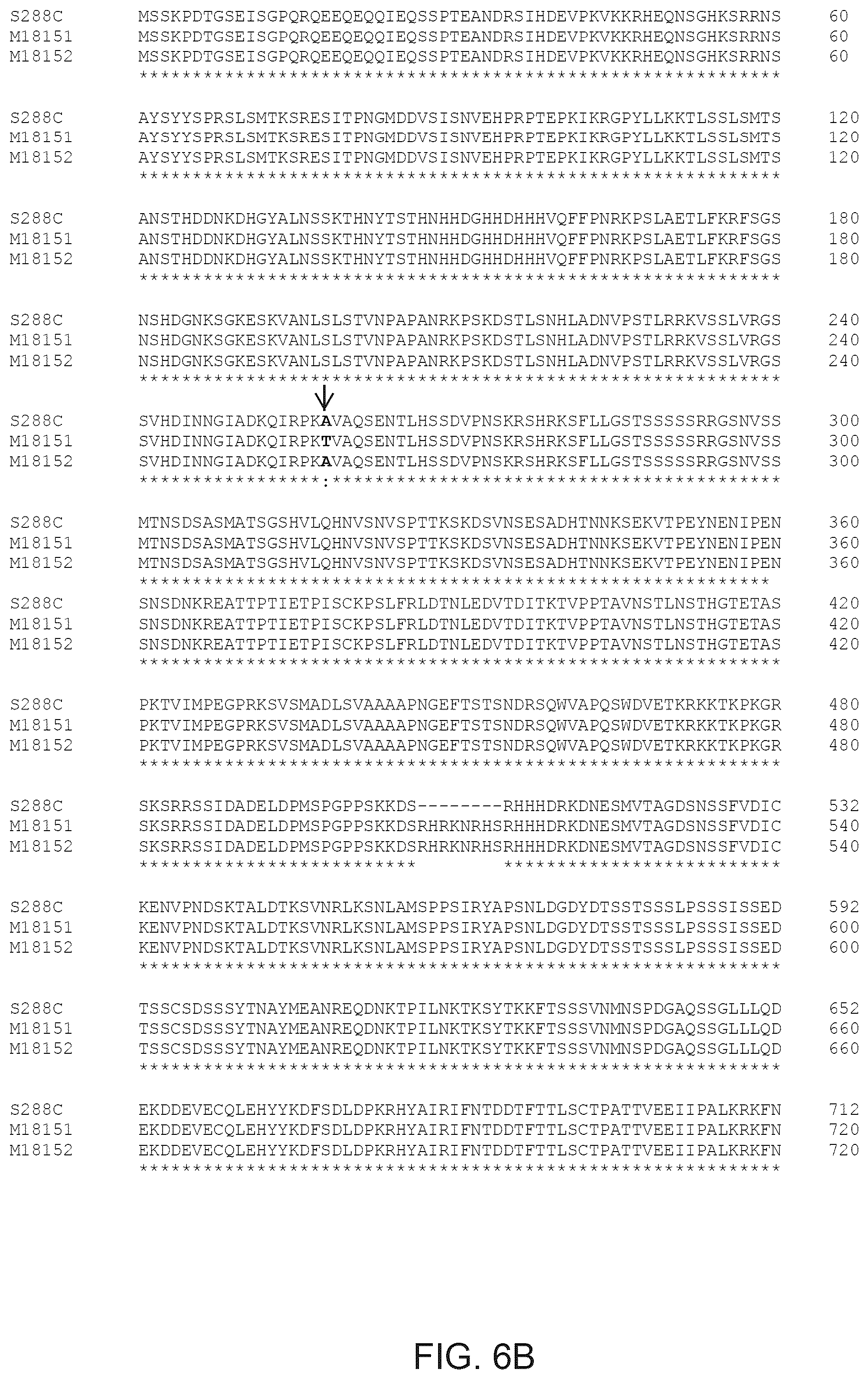 Patent US12365890 Figure 15 – Optimization of yeast host cells for the production of heterologous proteins