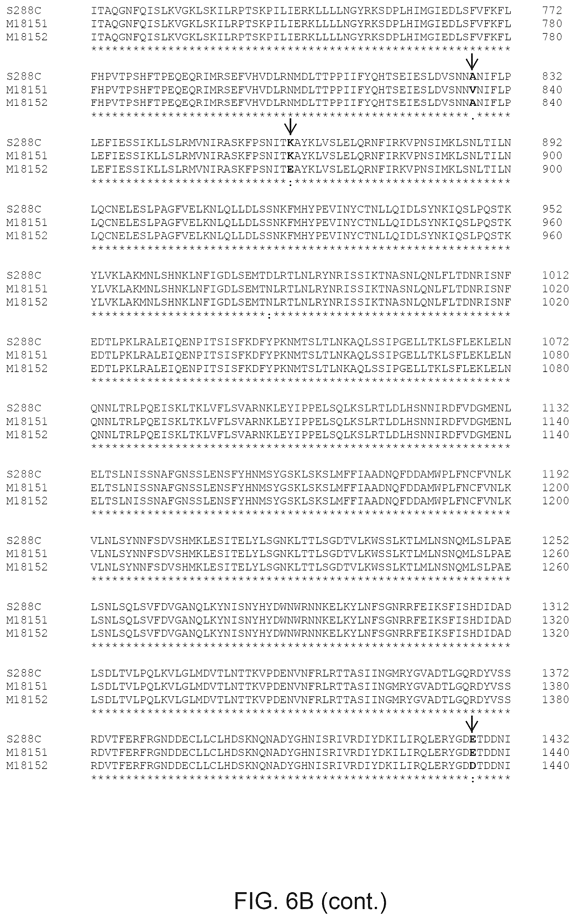 Patent US12365890 Figure 16 – Optimization of yeast host cells for the production of heterologous proteins