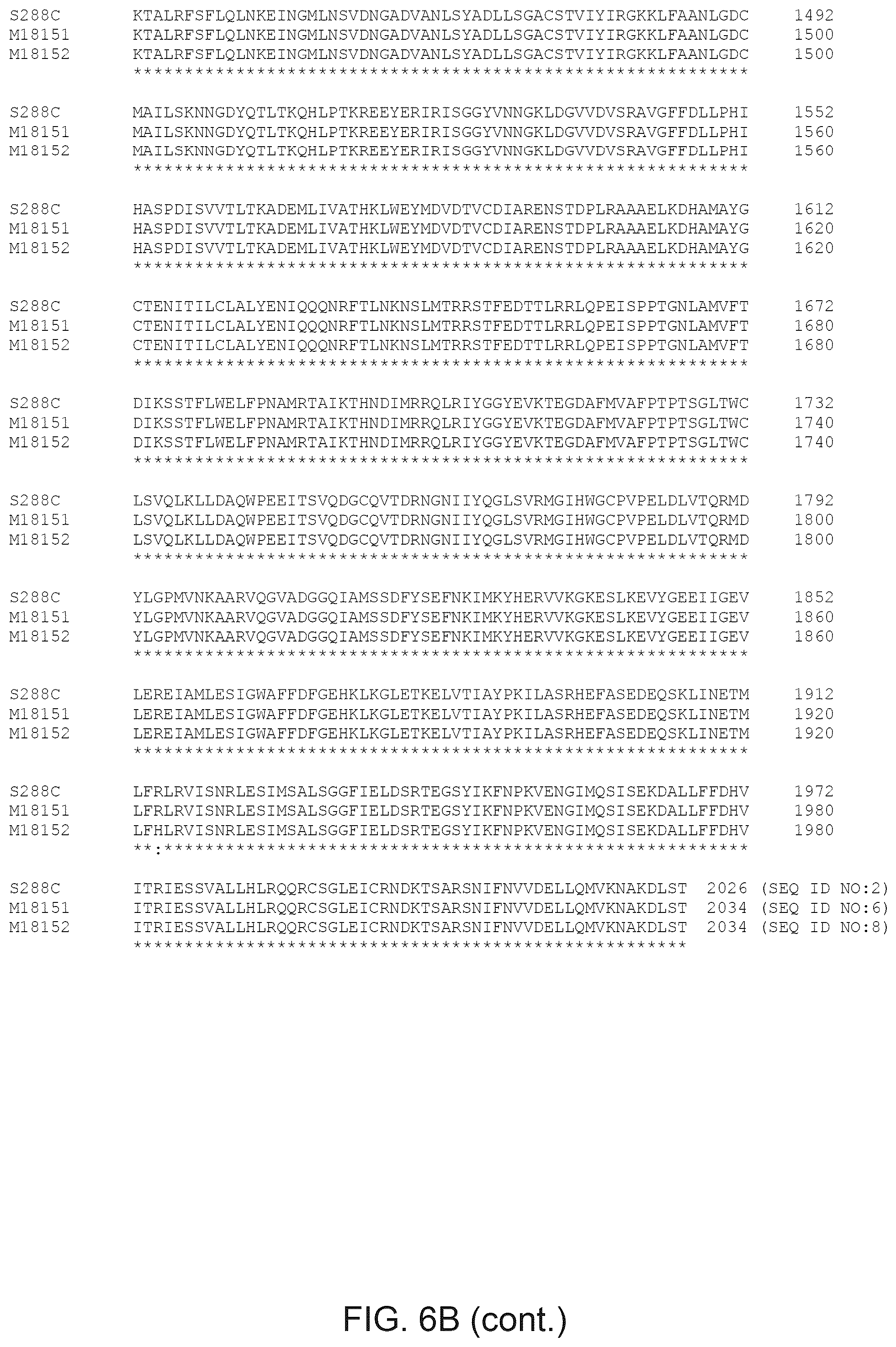 Patent US12365890 Figure 17 – Optimization of yeast host cells for the production of heterologous proteins