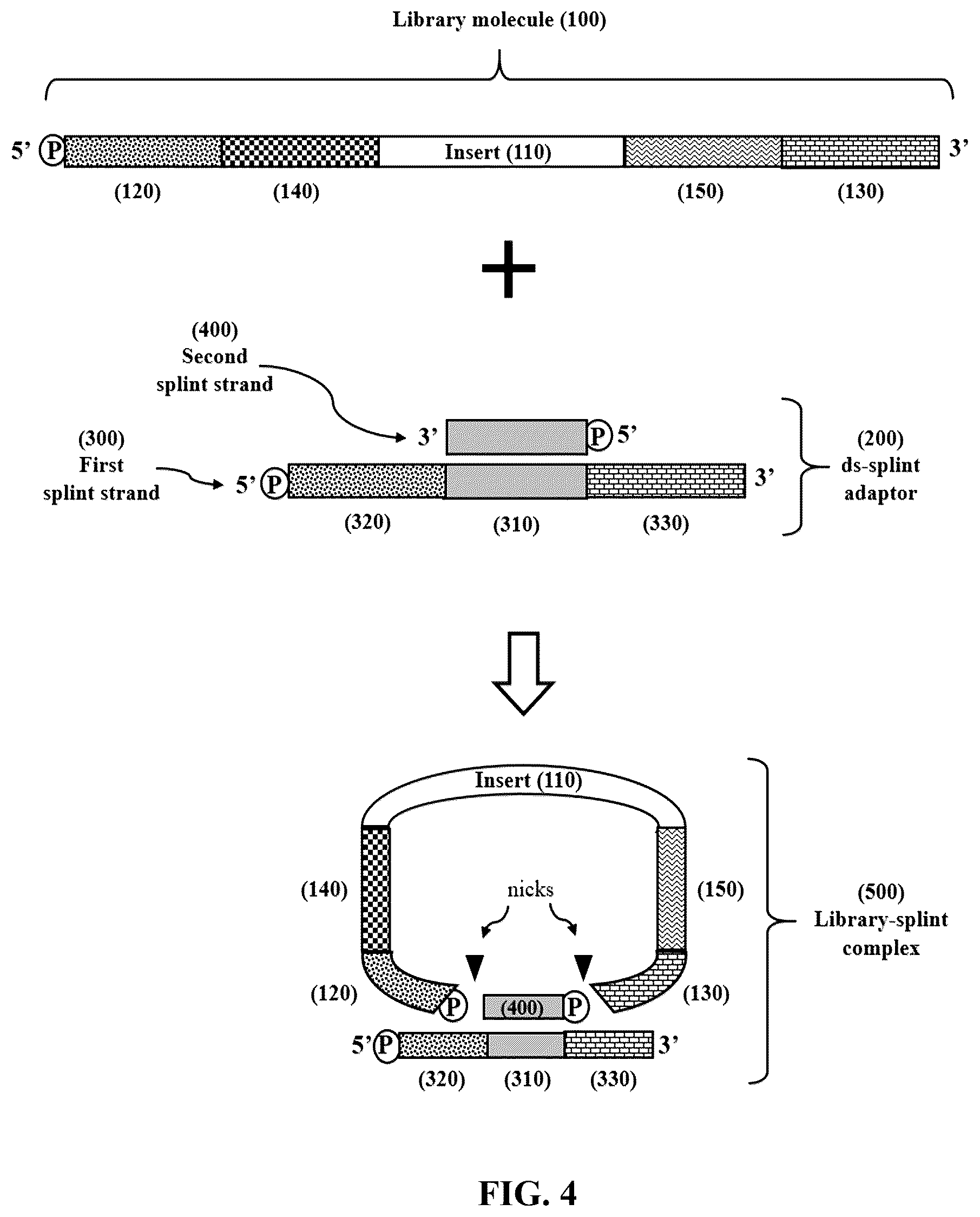 Patent US12365892 Figure 4 – Double-stranded splint adaptors with universal long splint strands and methods of use
