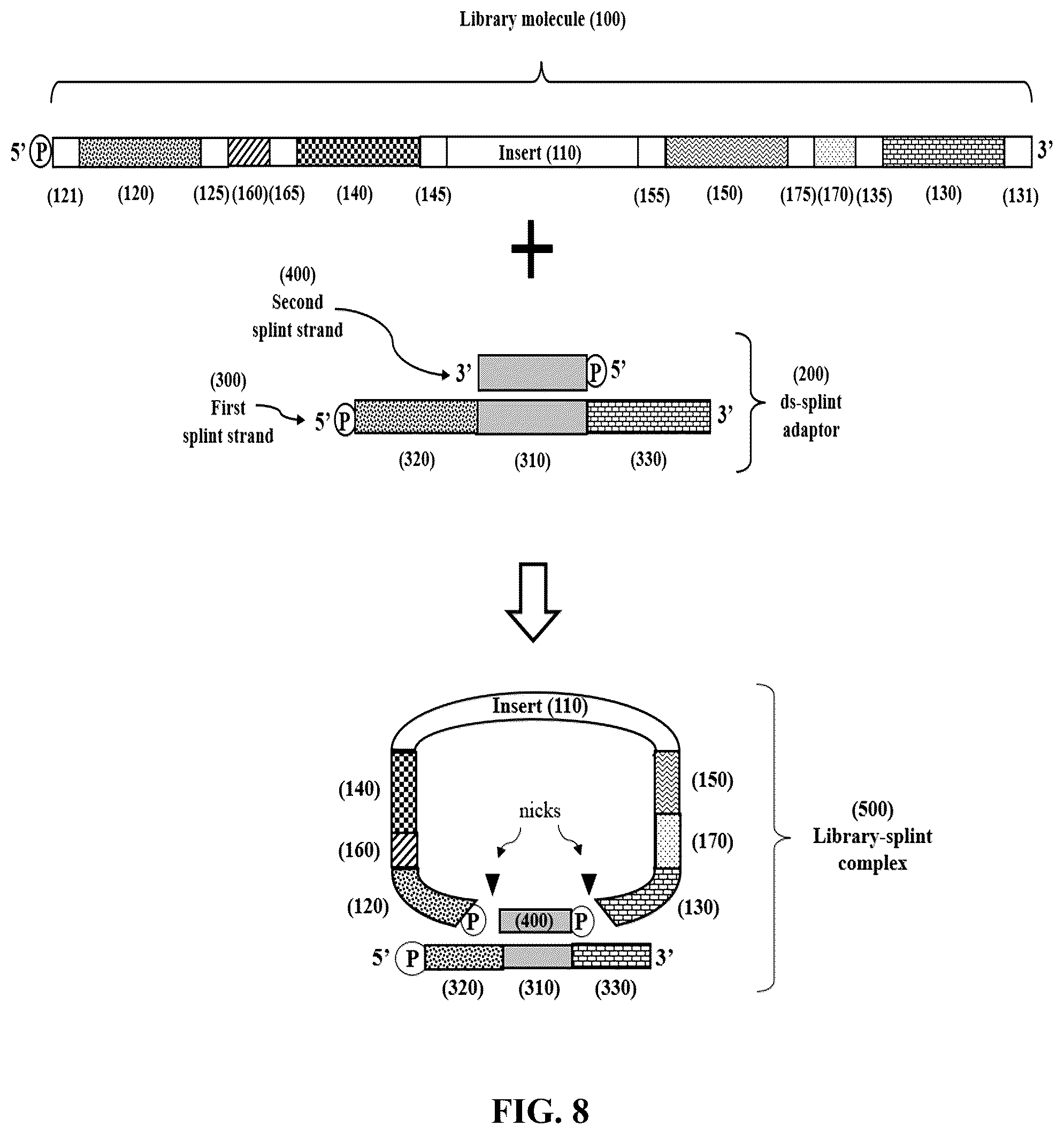 Patent US12365892 Figure 9 – Double-stranded splint adaptors with universal long splint strands and methods of use