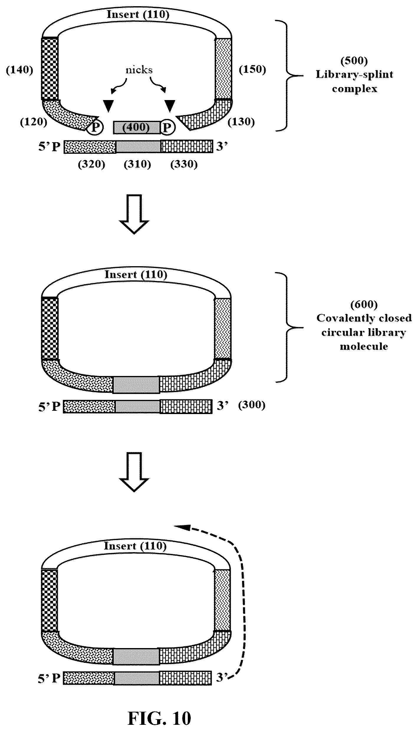 Patent US12365892 Figure 11 – Double-stranded splint adaptors with universal long splint strands and methods of use