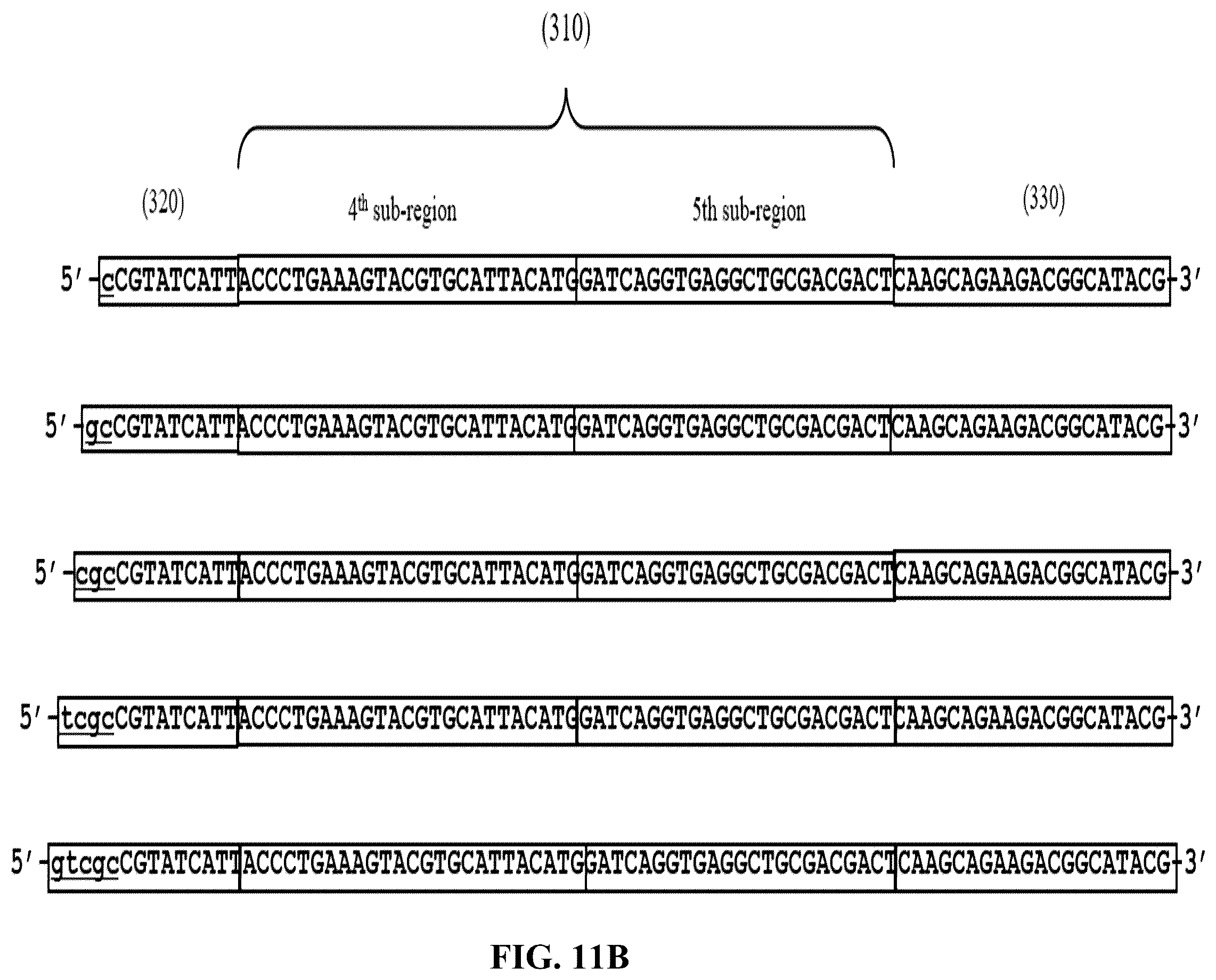 Patent US12365892 Figure 13 – Double-stranded splint adaptors with universal long splint strands and methods of use