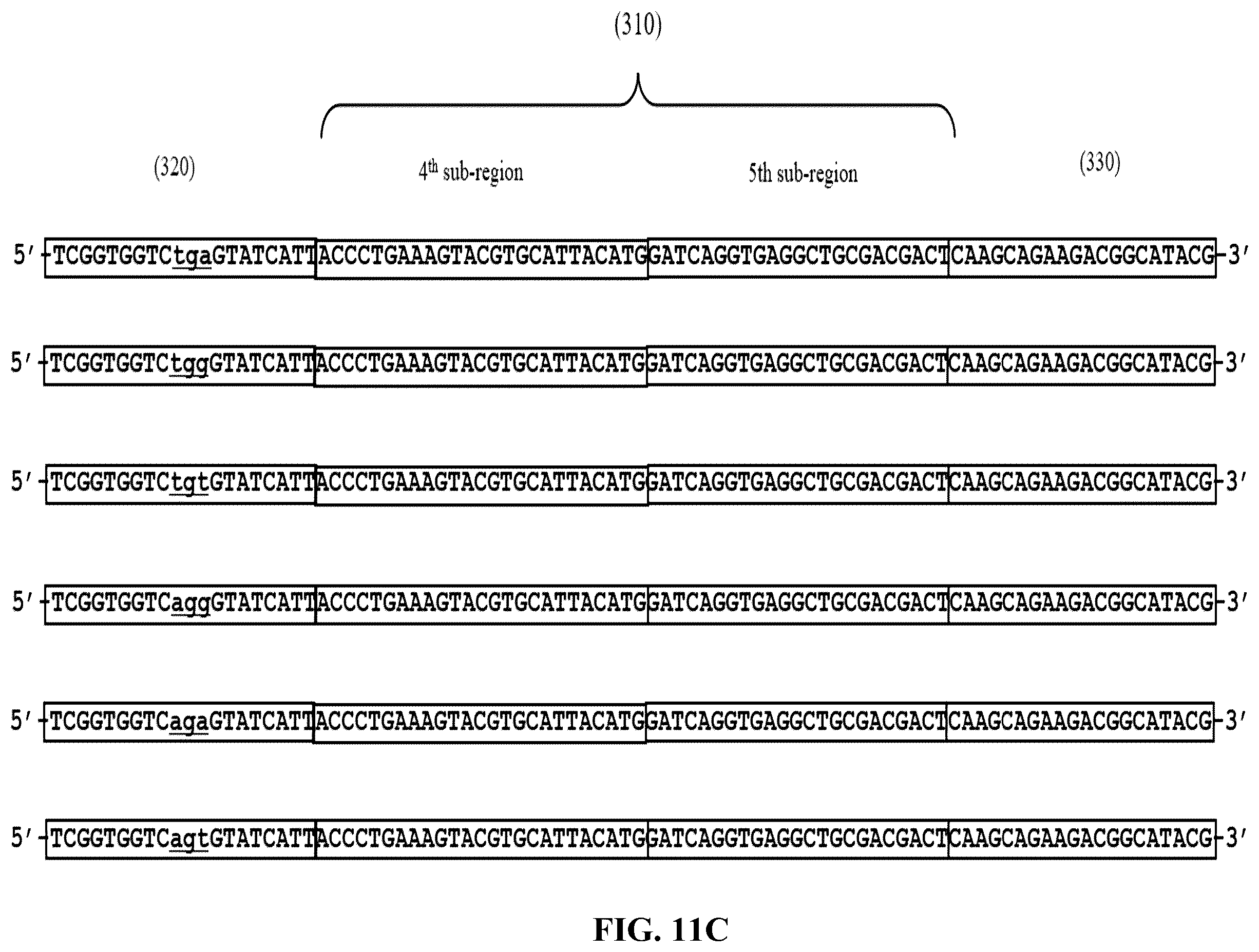 Patent US12365892 Figure 14 – Double-stranded splint adaptors with universal long splint strands and methods of use