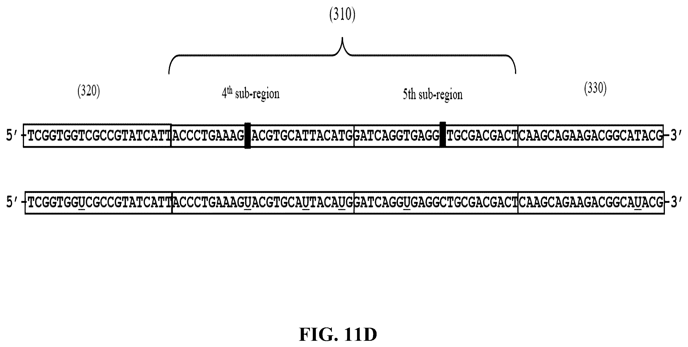 Patent US12365892 Figure 15 – Double-stranded splint adaptors with universal long splint strands and methods of use
