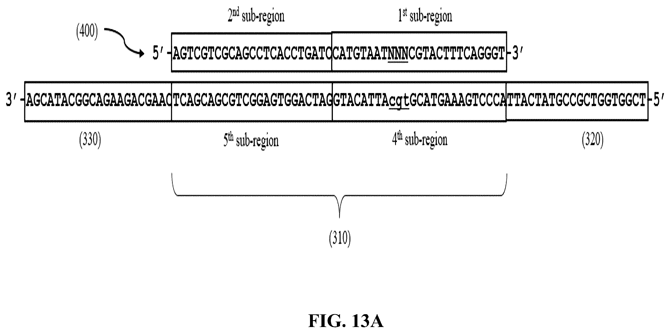 Patent US12365892 Figure 18 – Double-stranded splint adaptors with universal long splint strands and methods of use