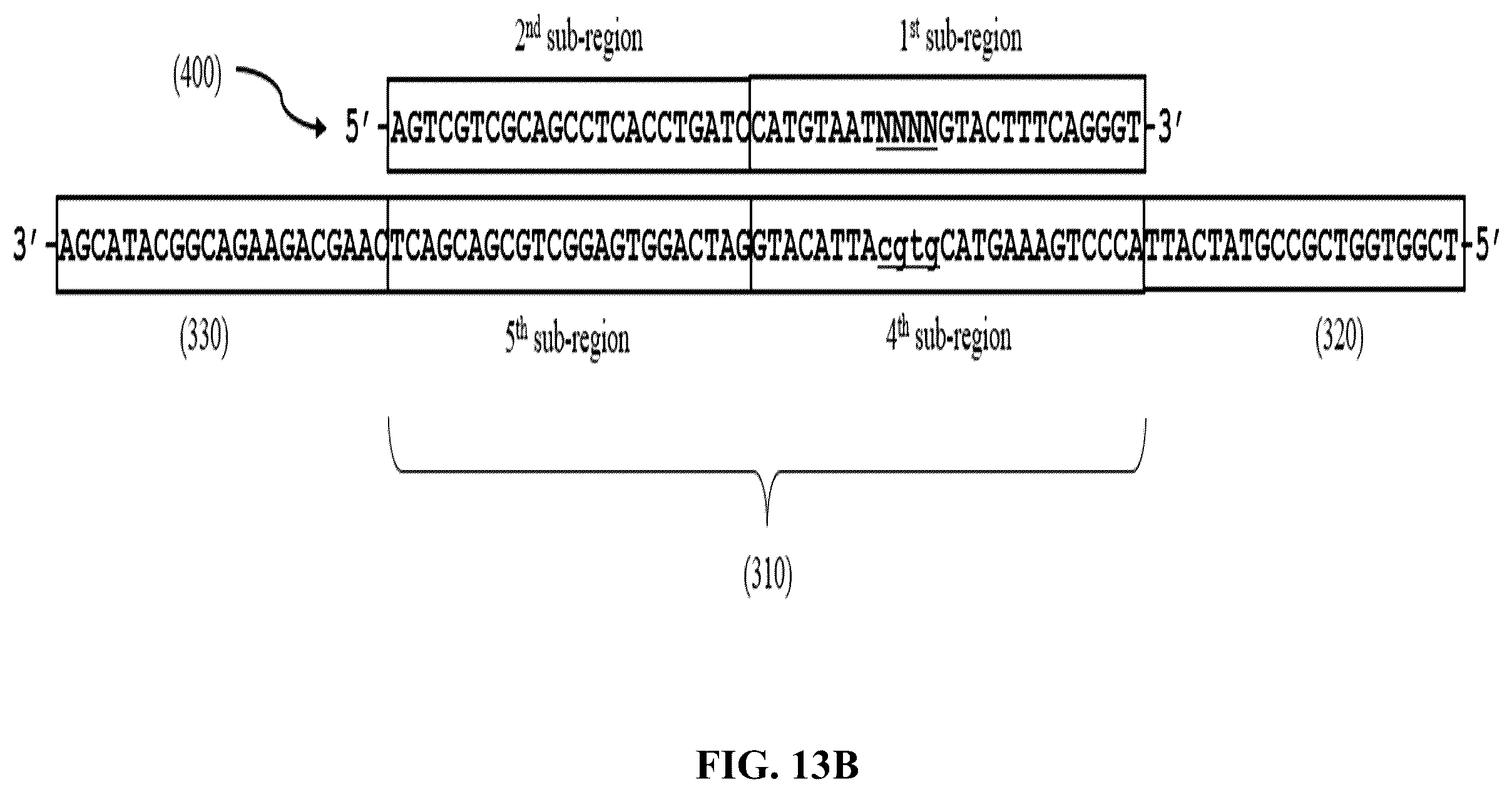 Patent US12365892 Figure 19 – Double-stranded splint adaptors with universal long splint strands and methods of use