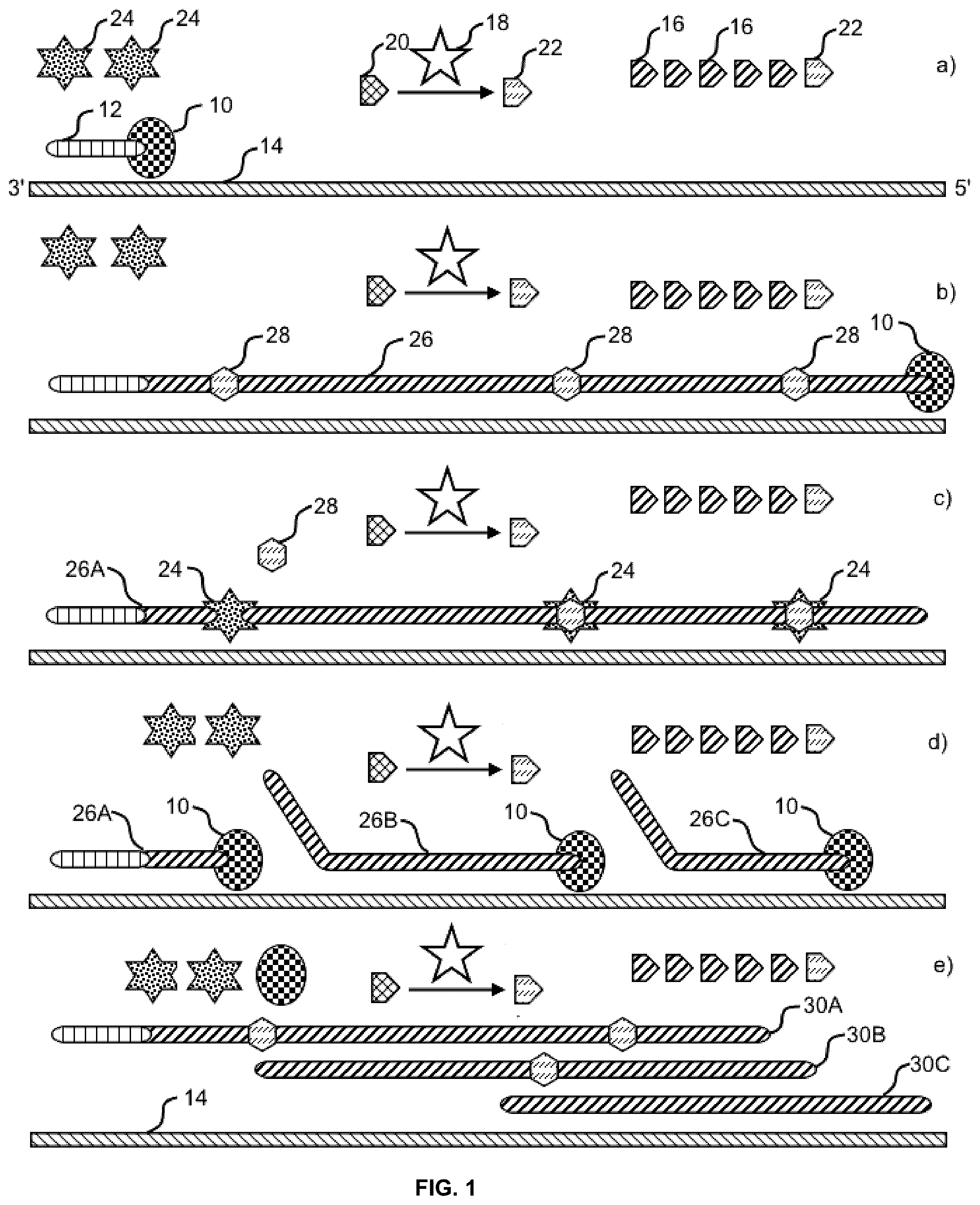 Patent US12365893 Figure 1 – Systems and methods for nucleic acid preparation