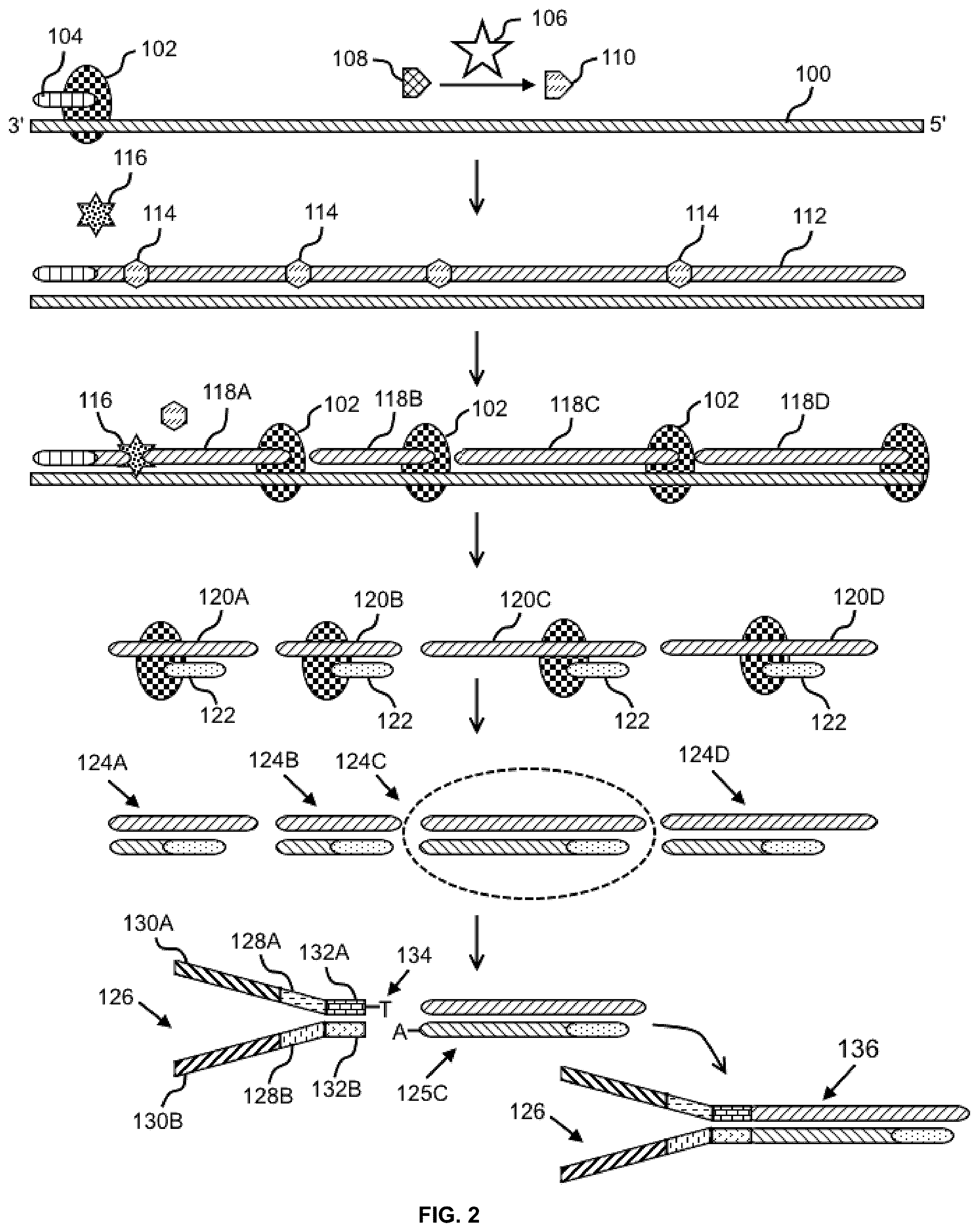 Patent US12365893 Figure 2 – Systems and methods for nucleic acid preparation
