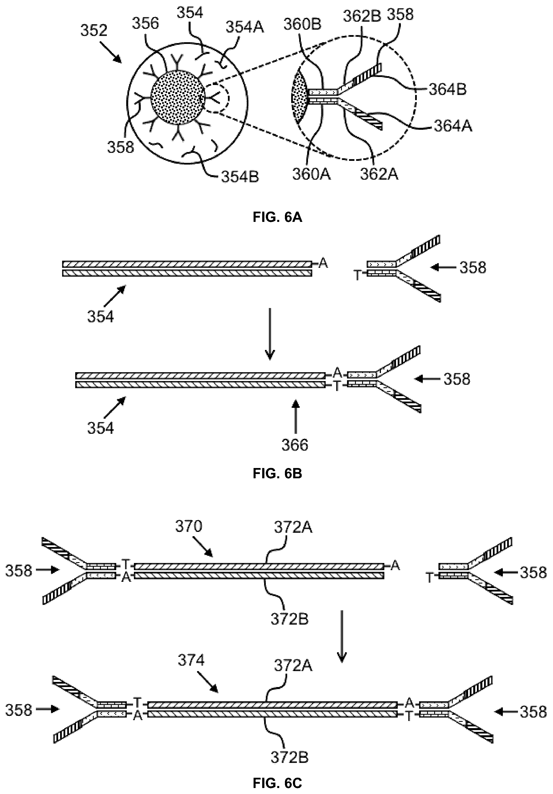 Patent US12365893 Figure 6 – Systems and methods for nucleic acid preparation