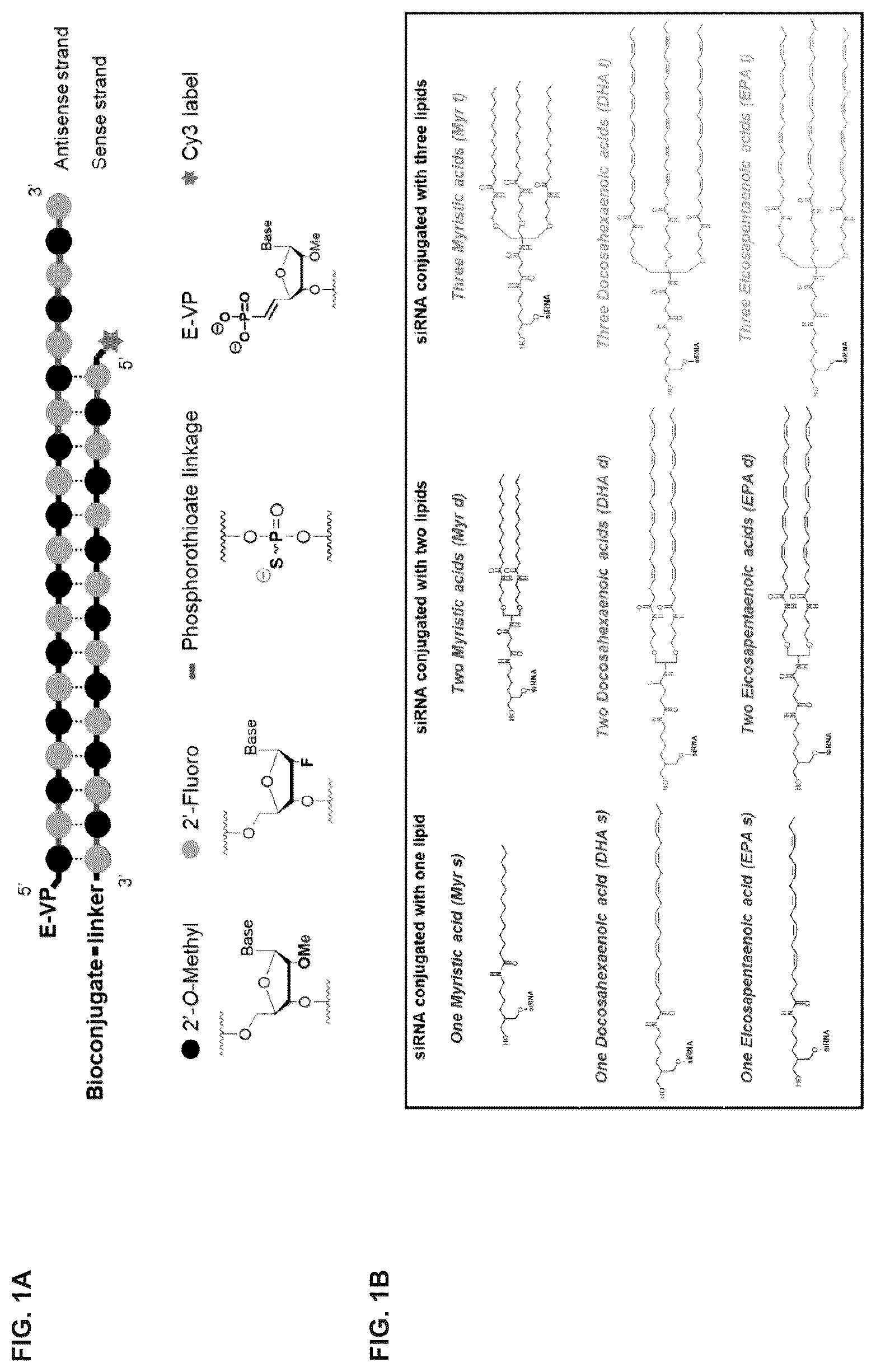 Patent US12365894 Figure 1 – Branched lipid conjugates of siRNA for specific tissue delivery