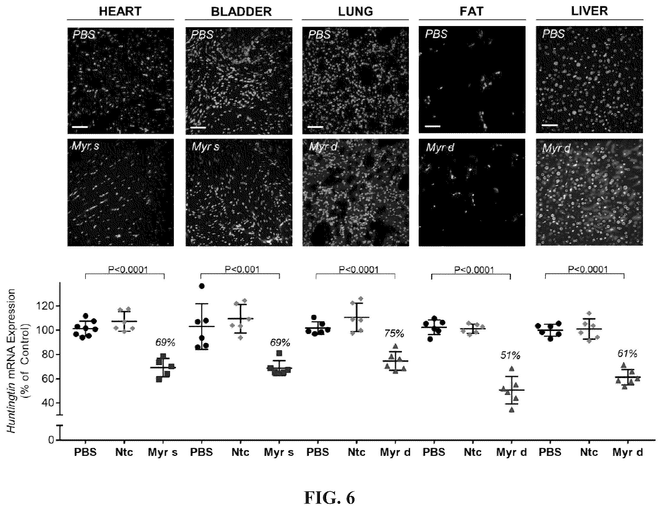 Patent US12365894 Figure 6 – Branched lipid conjugates of siRNA for specific tissue delivery