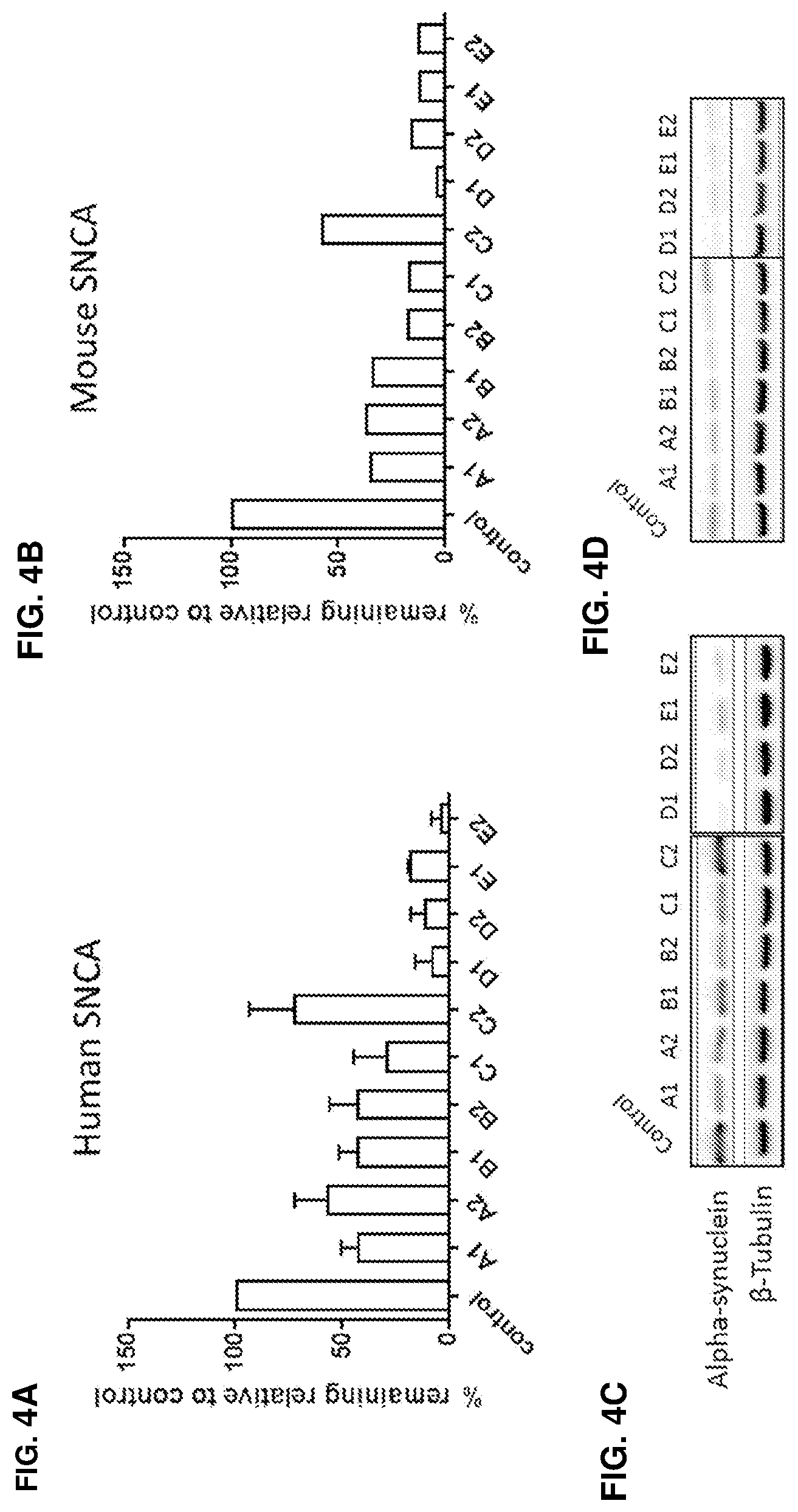 Patent US12365895 Figure 4 – Variant RNAi against alpha-synuclein