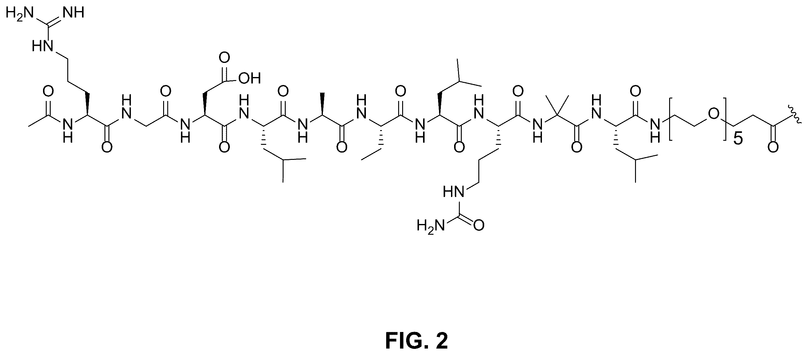 Patent US12365897 Figure 2 – RNAi agents for inhibiting expression of mucin 5AC (MUC5AC), compositions thereof, and methods of use