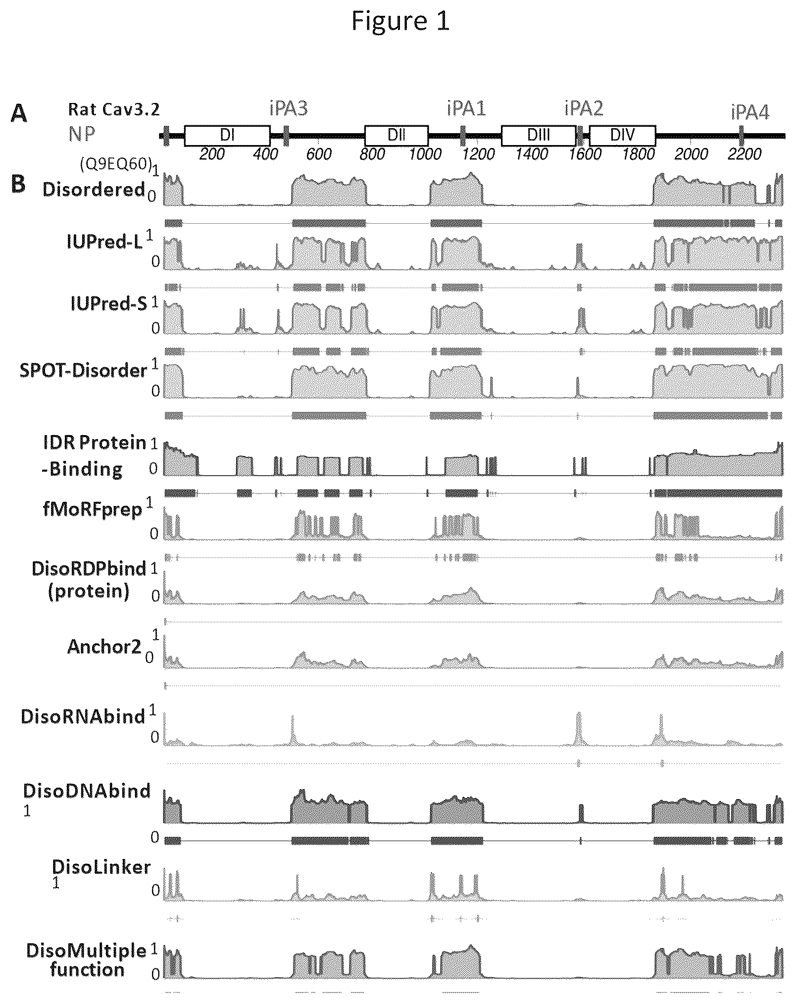 Patent US12365898 — Calcium channel 3.2 inhibitory peptides and uses thereof — Figure 1
