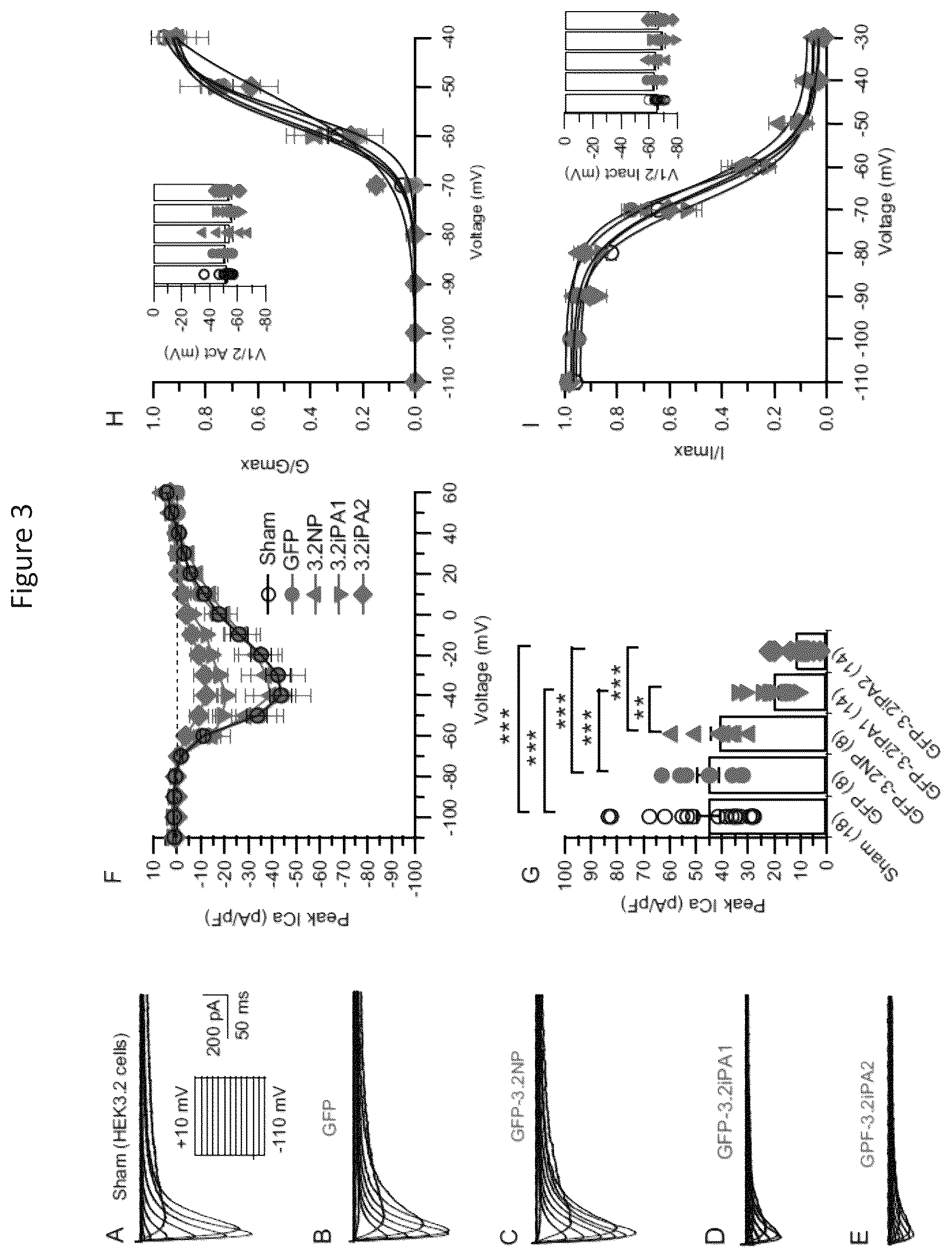 Patent US12365898 Figure 6 – Calcium channel 3.2 inhibitory peptides and uses thereof