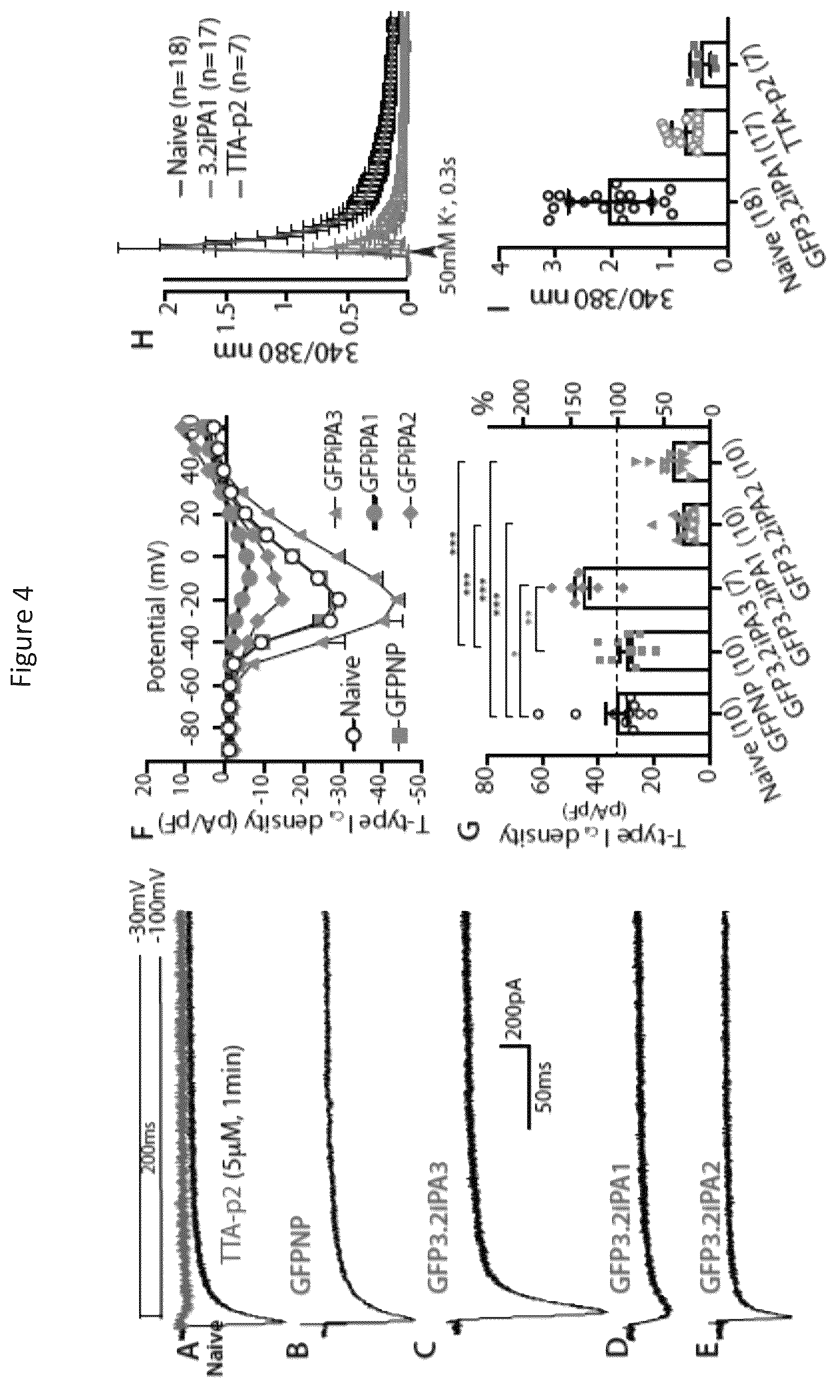 Patent US12365898 Figure 7 – Calcium channel 3.2 inhibitory peptides and uses thereof