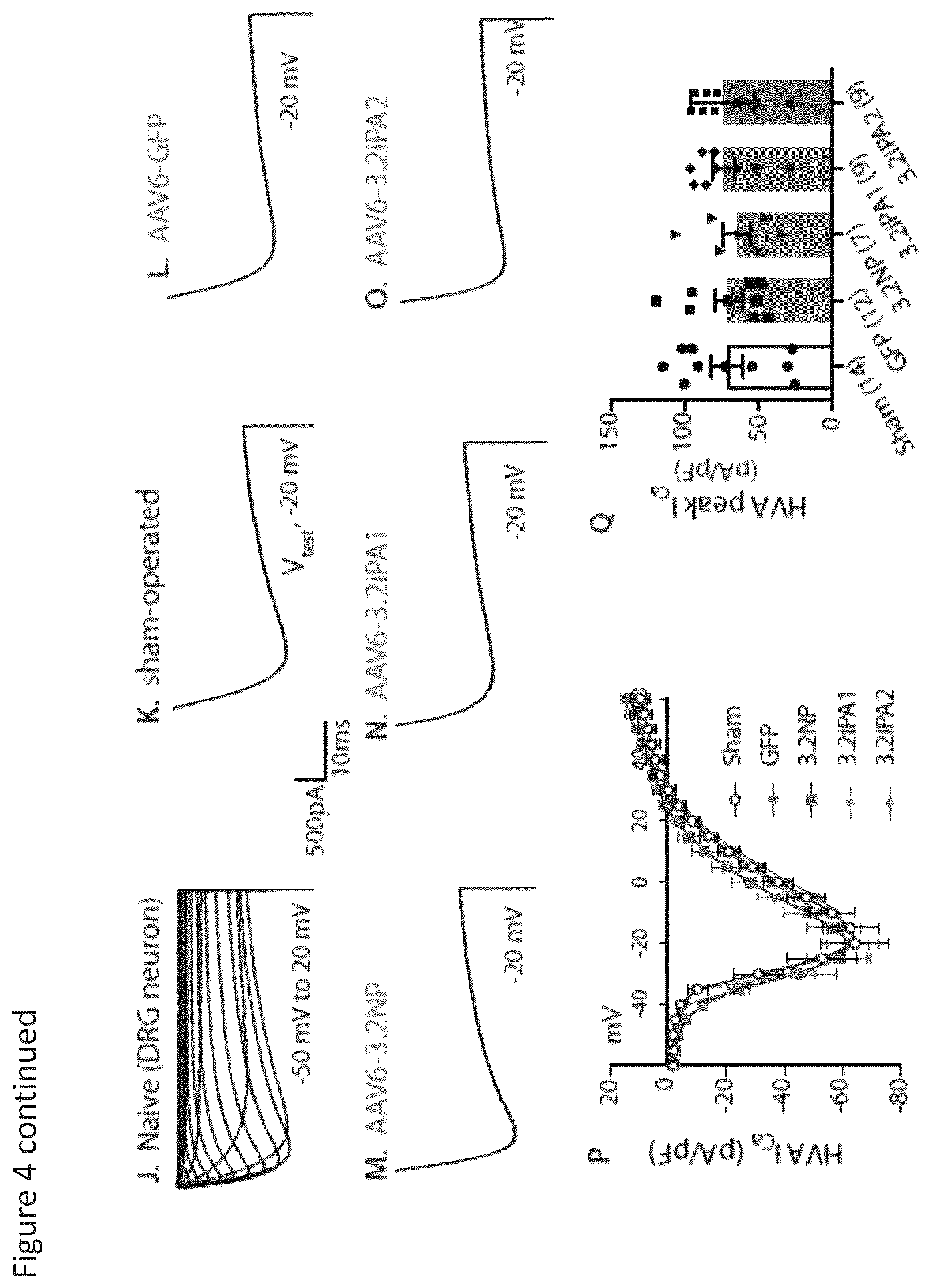 Patent US12365898 Figure 8 – Calcium channel 3.2 inhibitory peptides and uses thereof