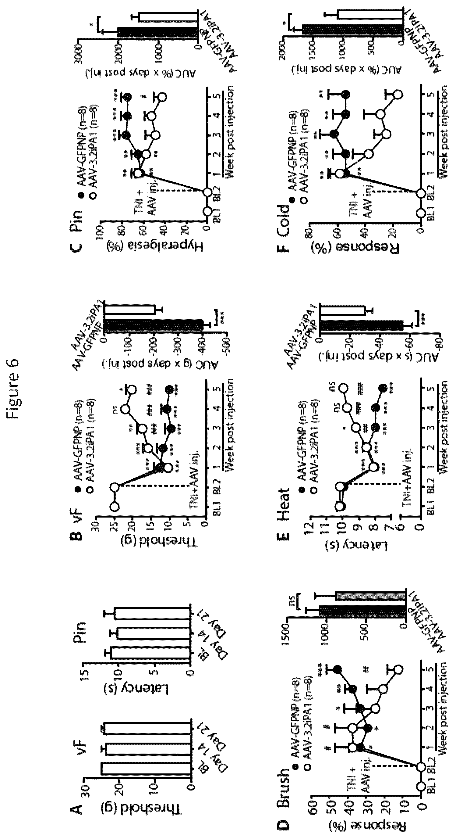 Patent US12365898 Figure 11 – Calcium channel 3.2 inhibitory peptides and uses thereof
