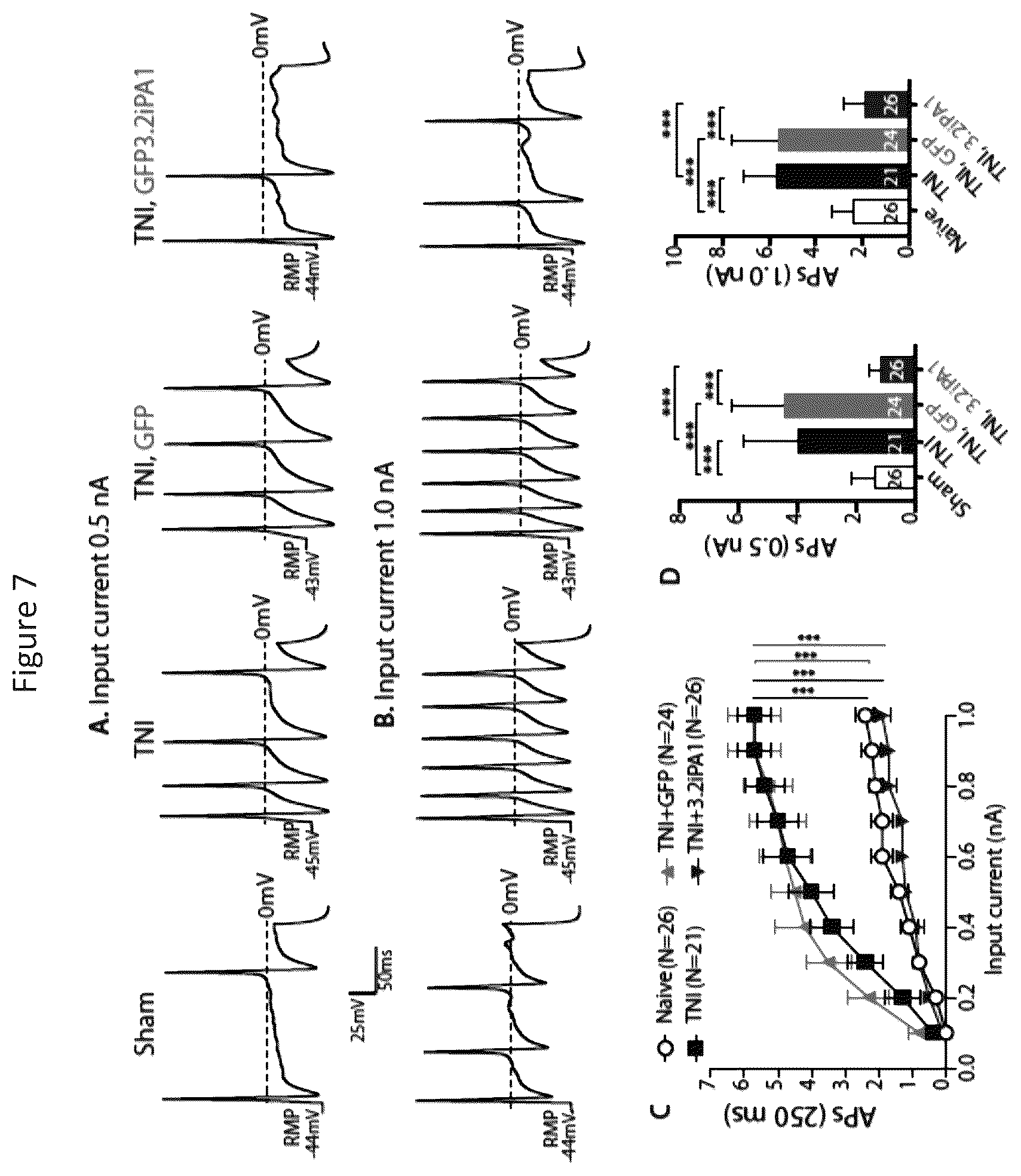 Patent US12365898 Figure 12 – Calcium channel 3.2 inhibitory peptides and uses thereof