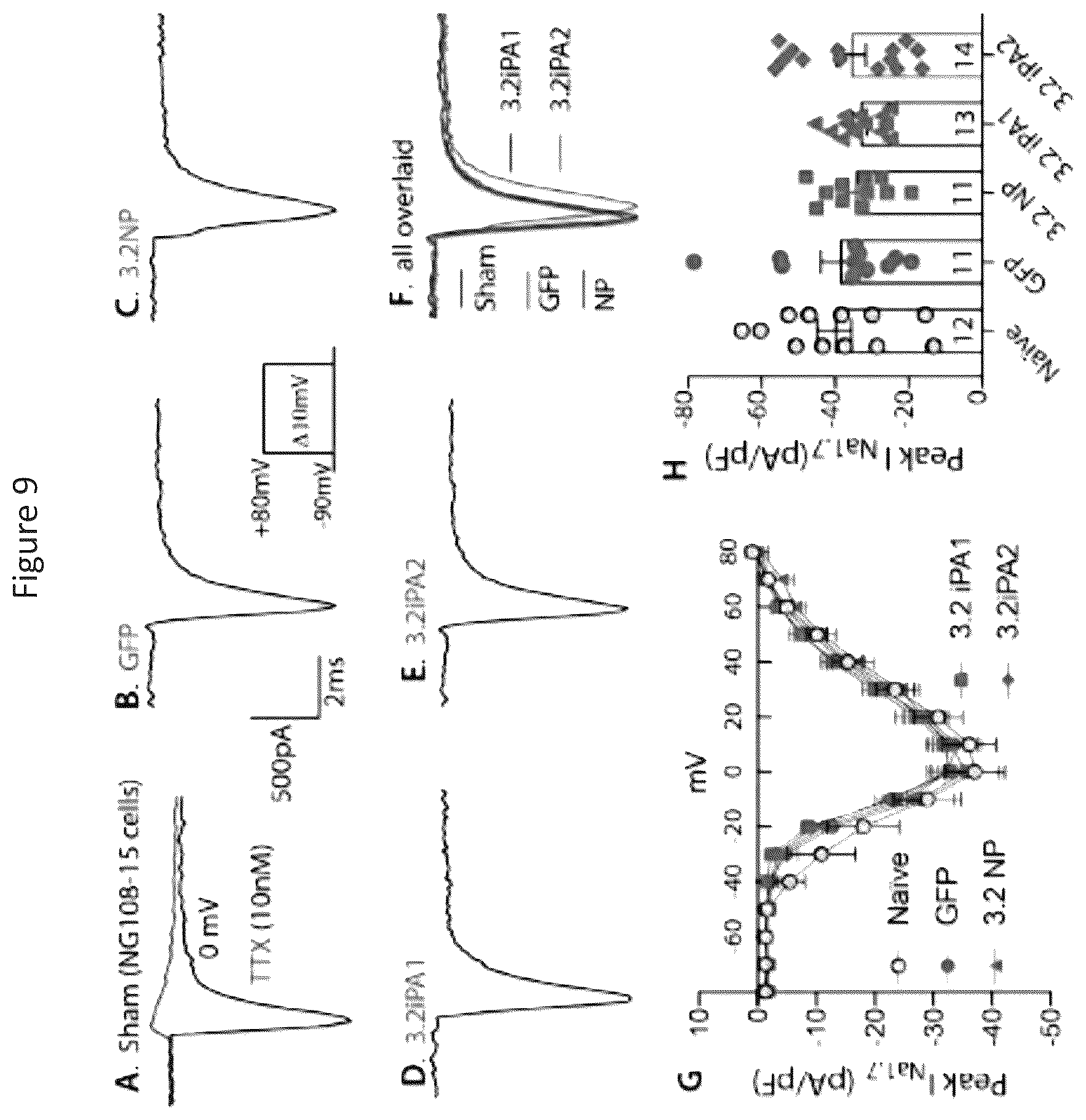 Patent US12365898 Figure 14 – Calcium channel 3.2 inhibitory peptides and uses thereof