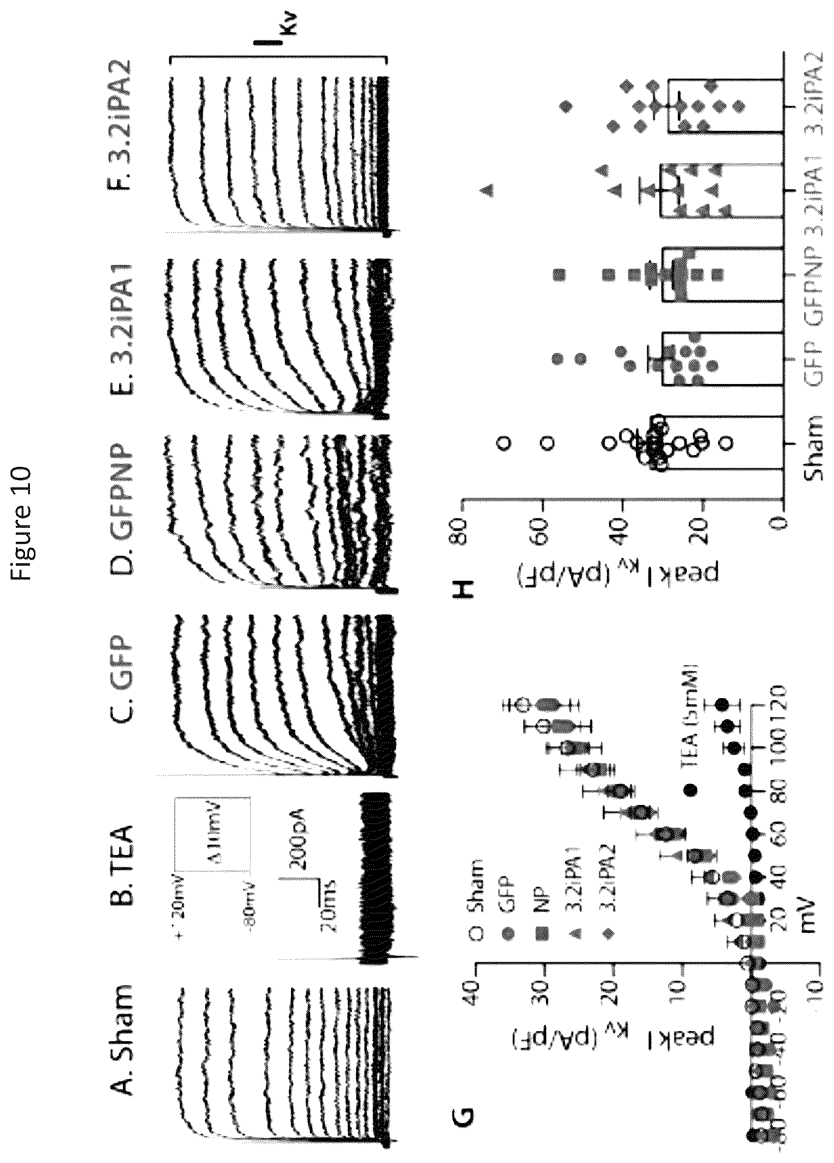 Patent US12365898 Figure 15 – Calcium channel 3.2 inhibitory peptides and uses thereof