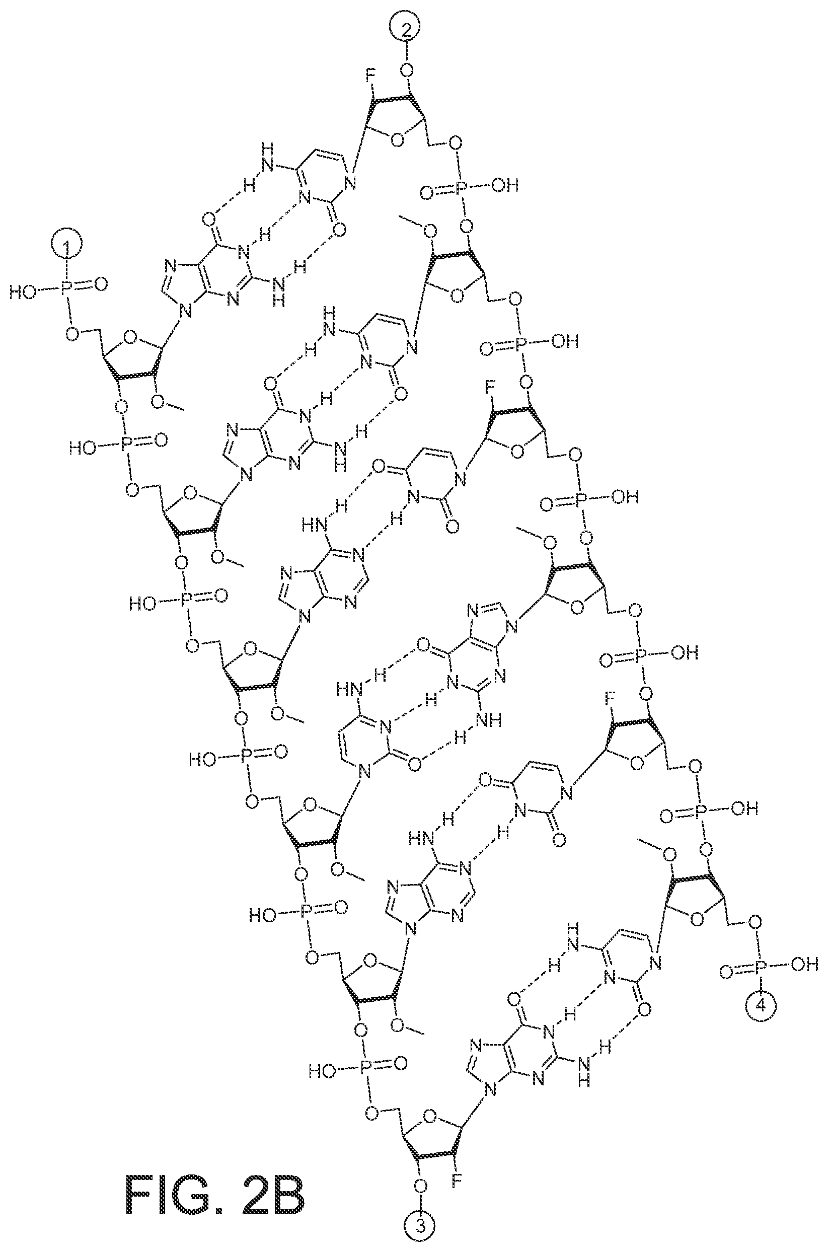Patent US12365899 Figure 5 – RNAi agents and compositions for inhibiting expression of apolipoprotein C-III (APOC3)